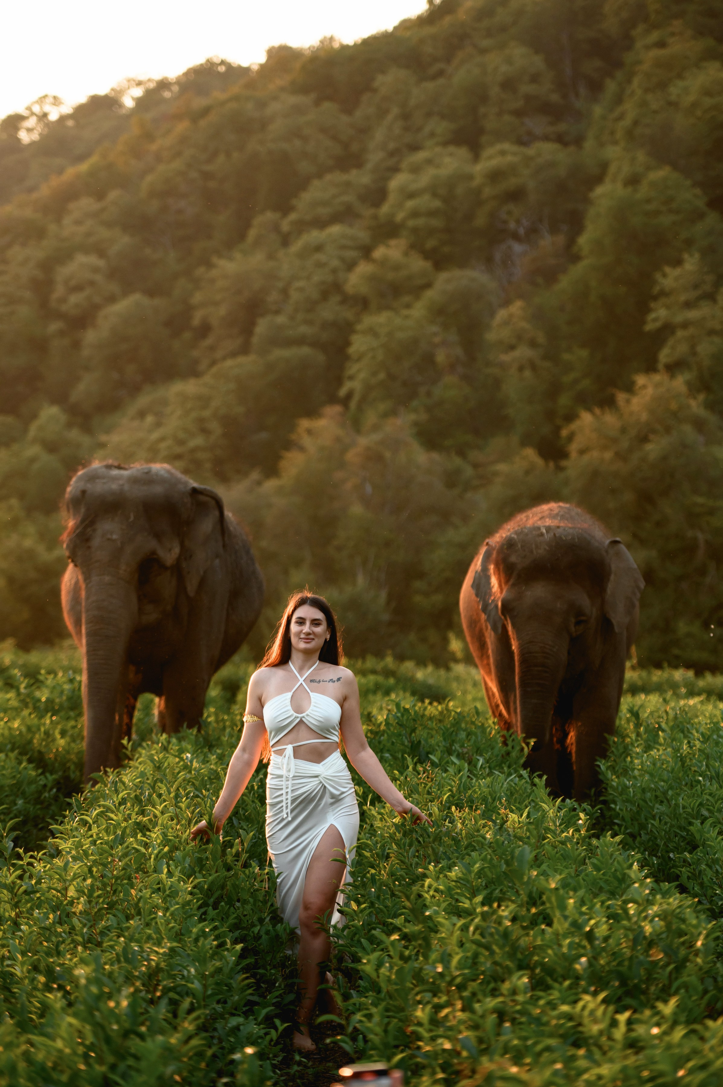Ангелина и Вячеслав. Фотограф в сочи Свадебный фотограф Сочи