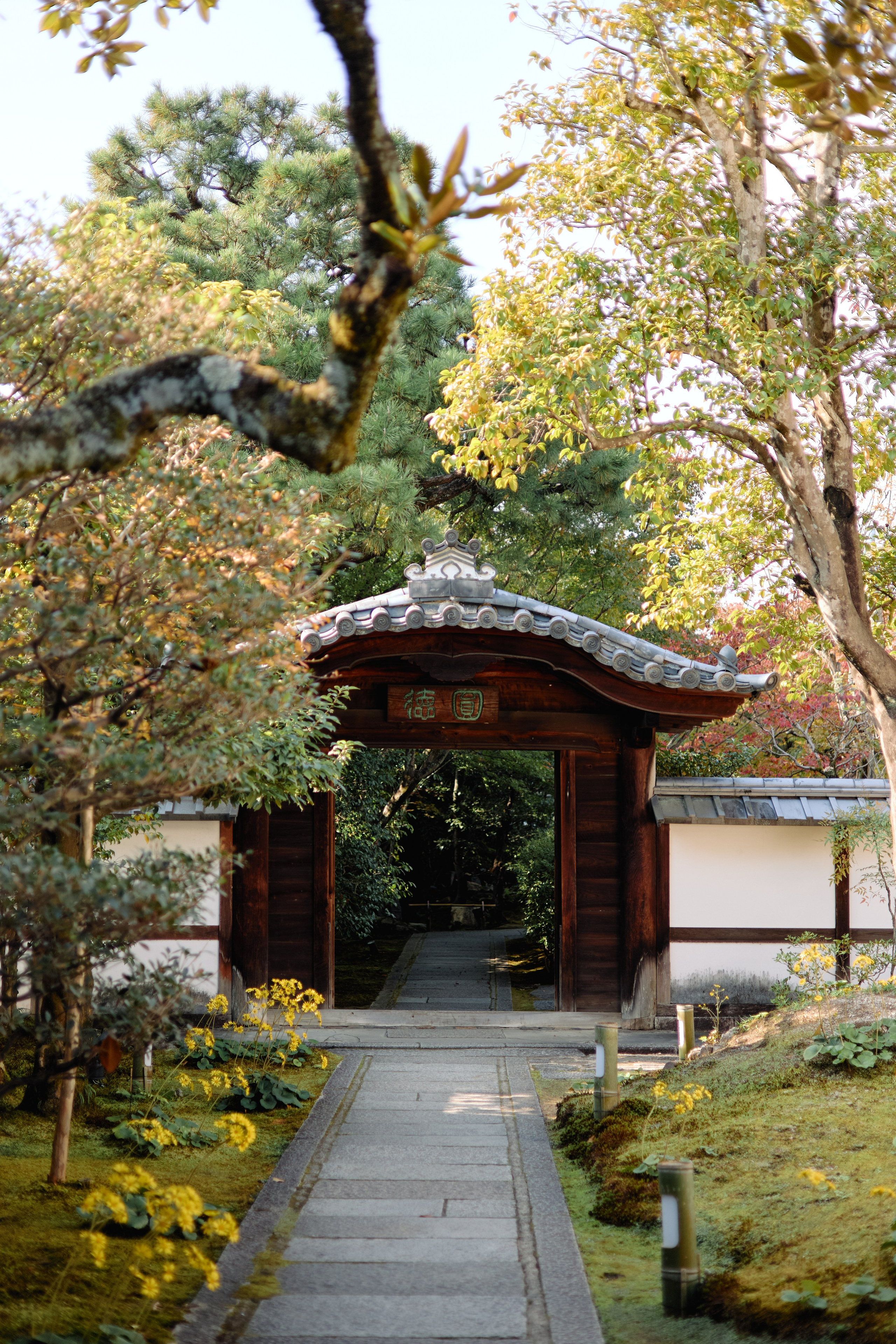 Япония. Профессиональный Фотограф во Владимире, в Москве и в Суздале — Полина Романычева