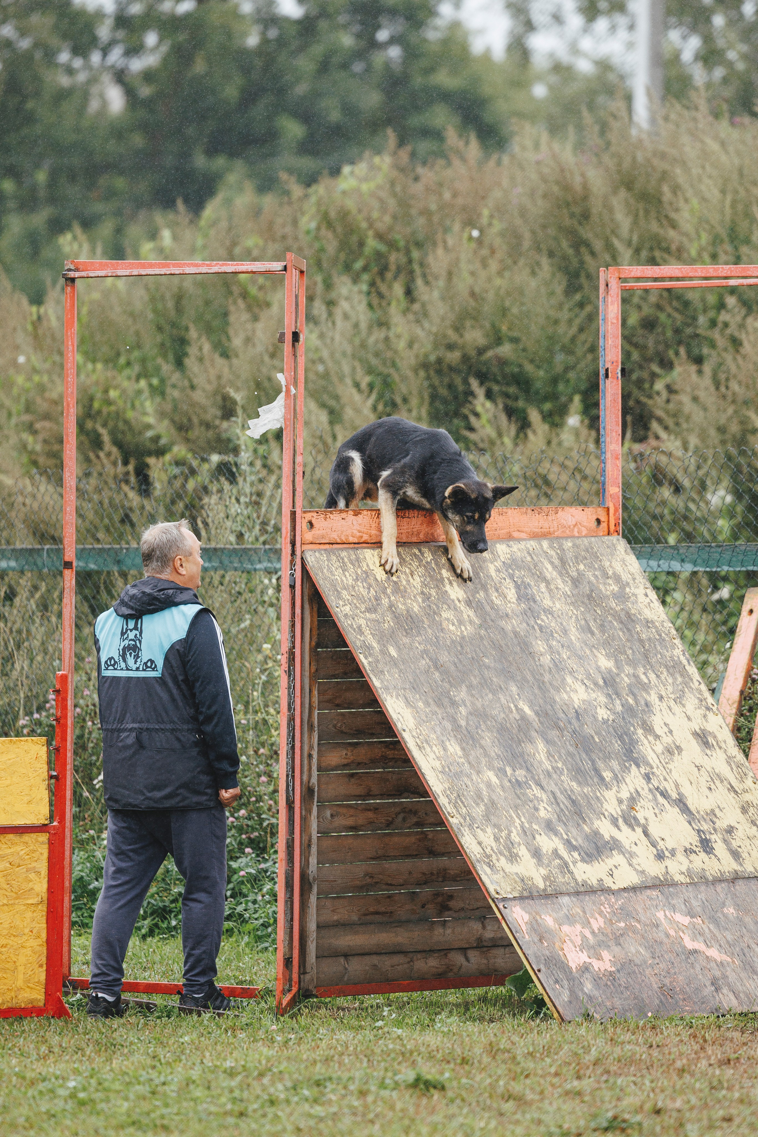 08.08.25-10.08.25 ЧР по мондьорингу г. Вологда. Фотограф-анималист Анна Маринич
