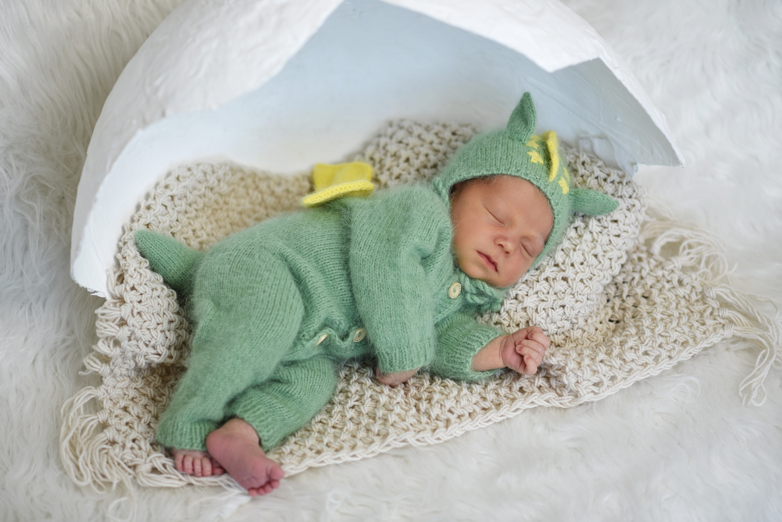 Артем-динозаврик. Семейный, детский и школьный фотограф в Димитровграде Наумова Екатерина