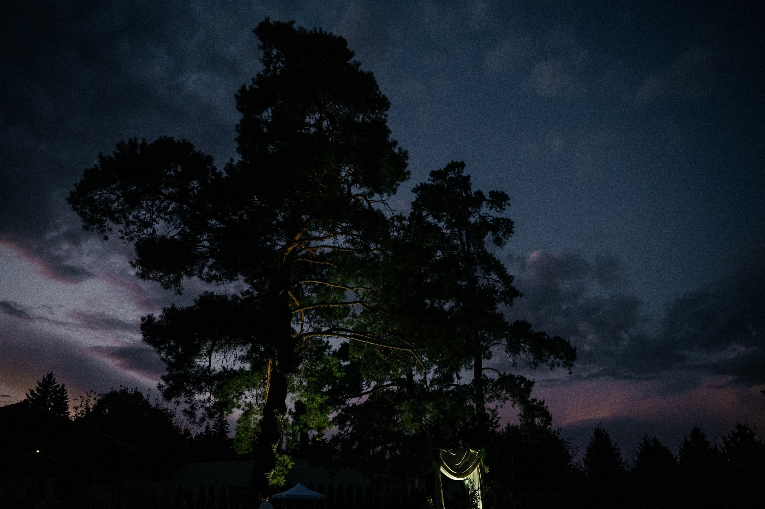 Вечеринка в Санта-Барбаре. Свадебный и семейный фотограф в Краснодаре Марина Стёпа