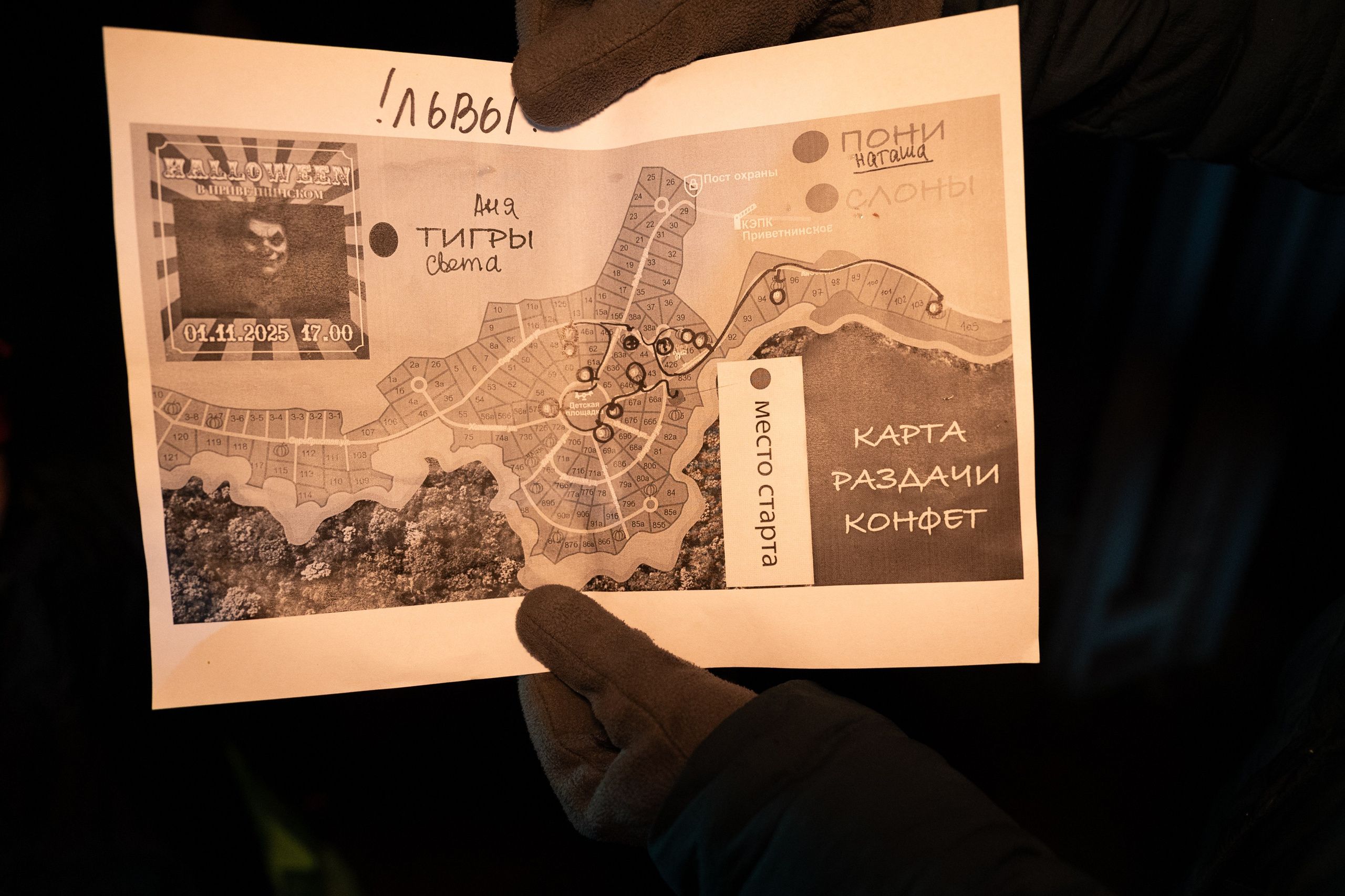 Hallowen. Фотограф Горбенко Анна