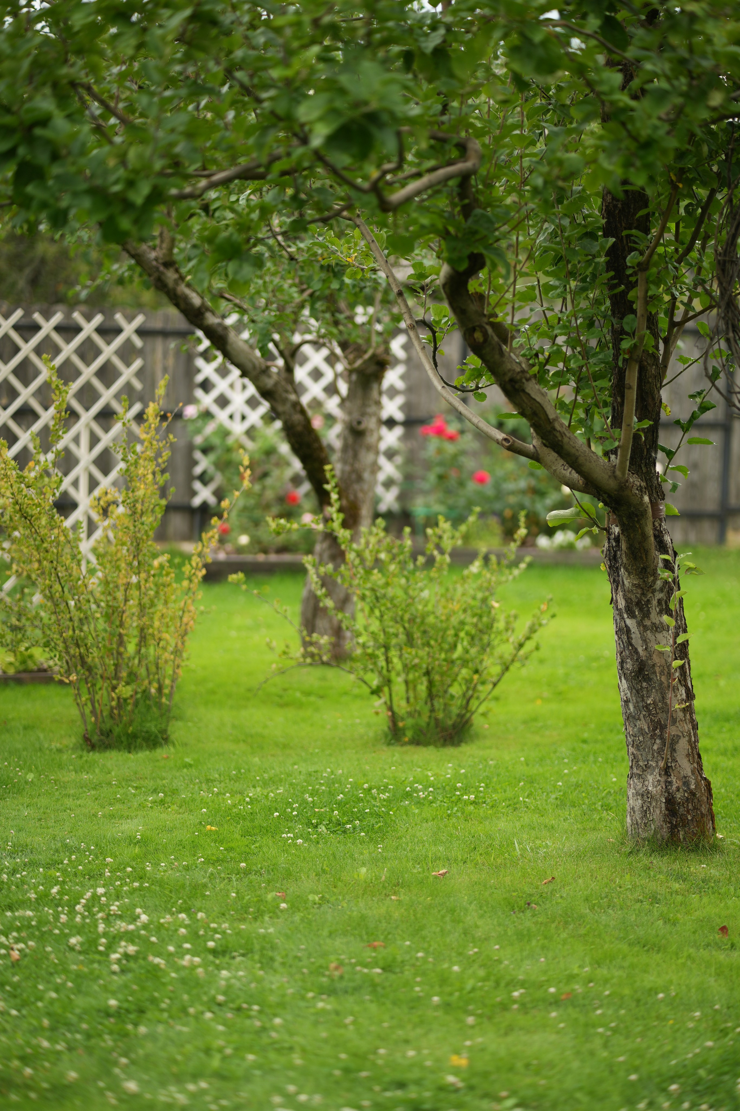 Час 1500 пример фотосессии пакет «ФОТО НА ПАМЯТЬ» (без обработки). Фотограф Нижний Новгород Татьяна Кэйод