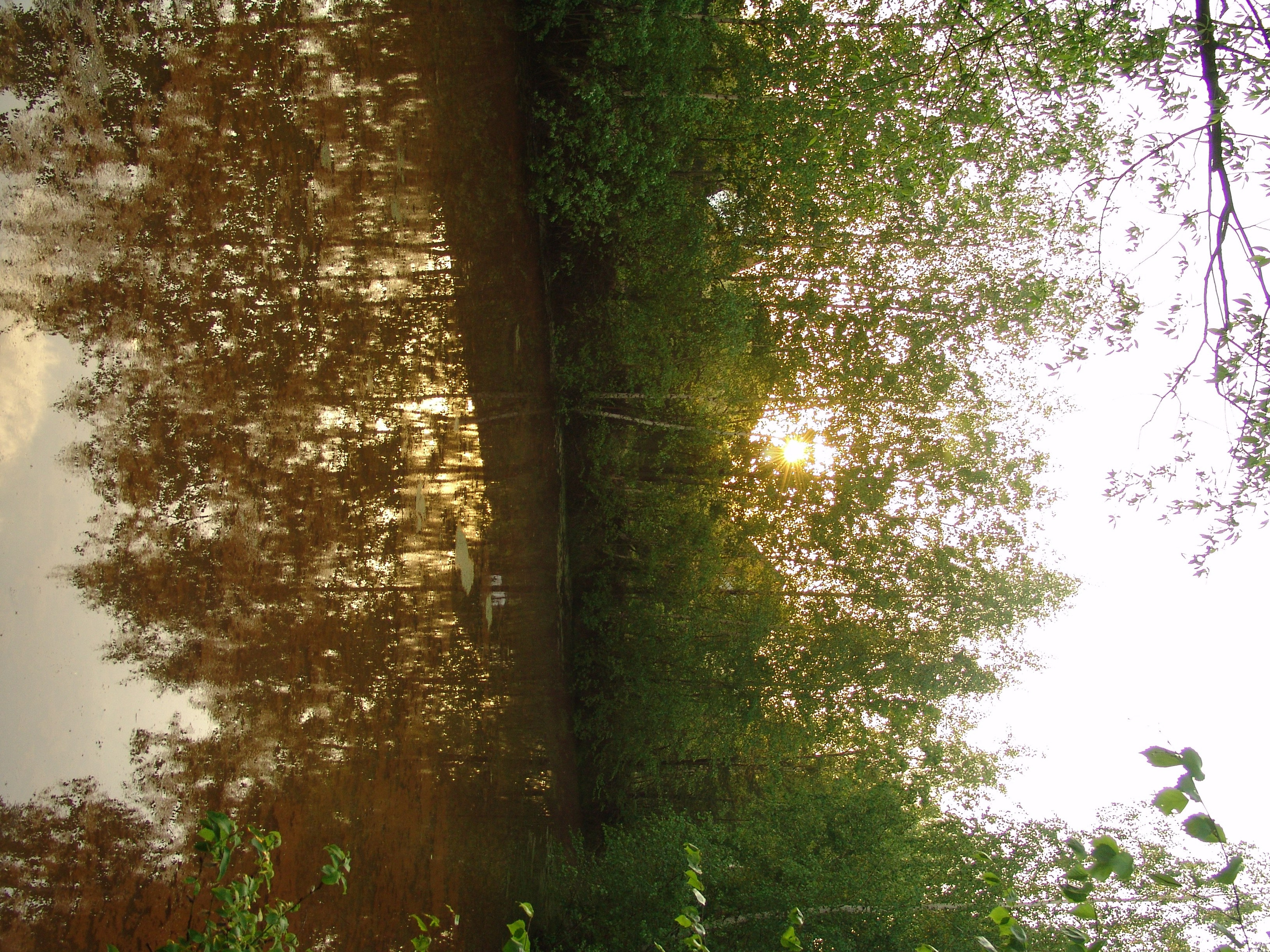 Приезд КС 2005. Заставка