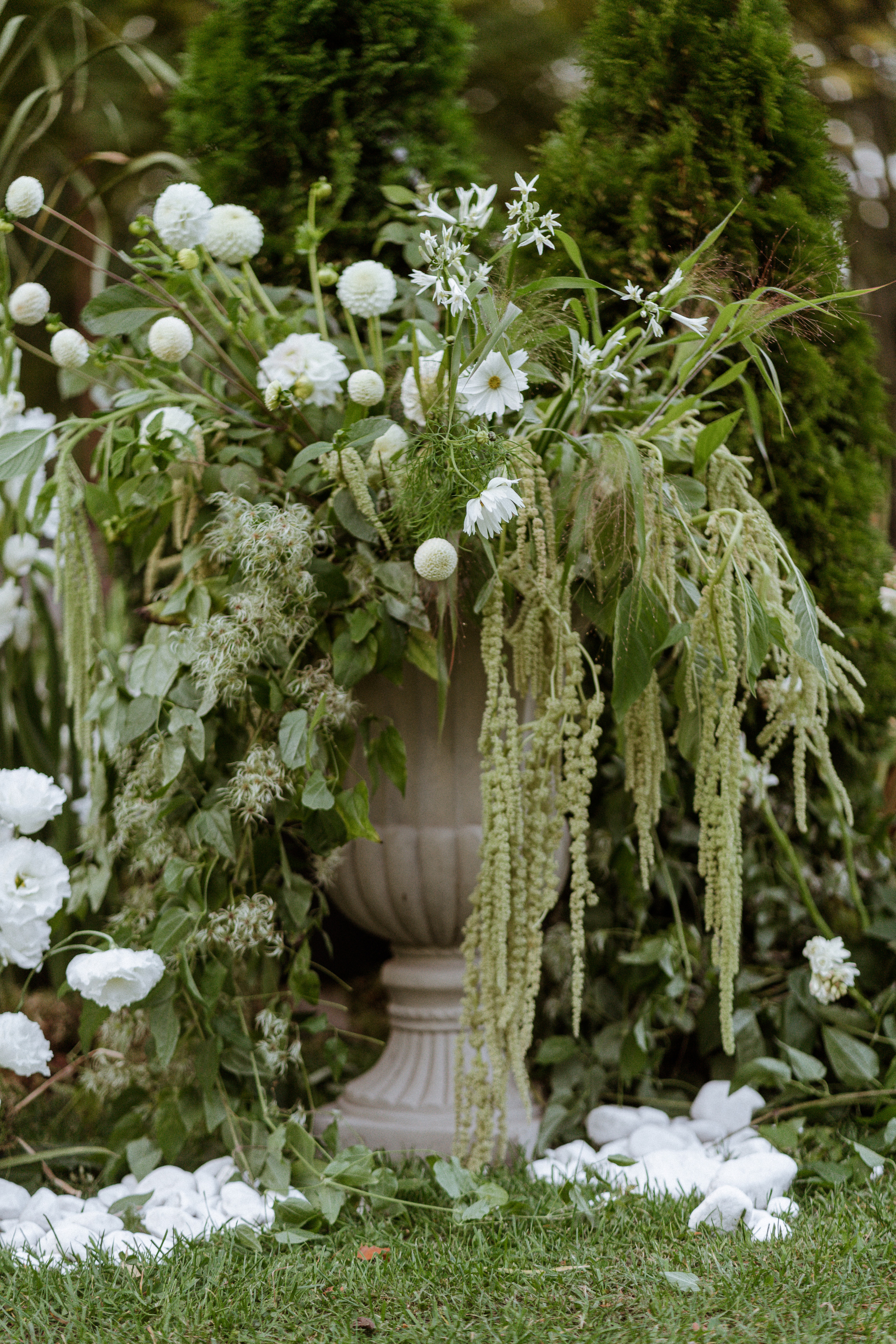 Eva — Mark. Elopement Wedding Photographer