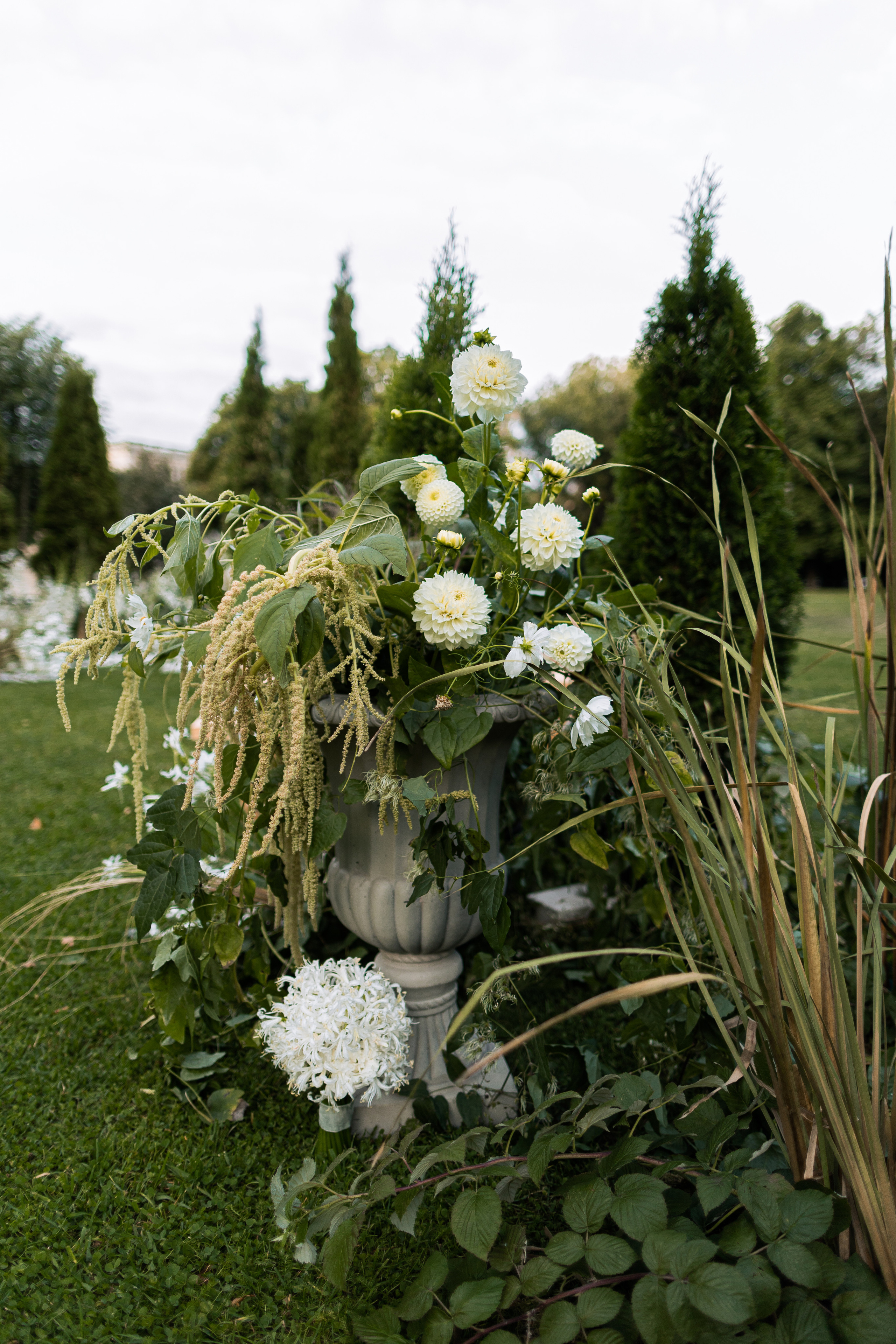 Eva — Mark. Elopement Wedding Photographer