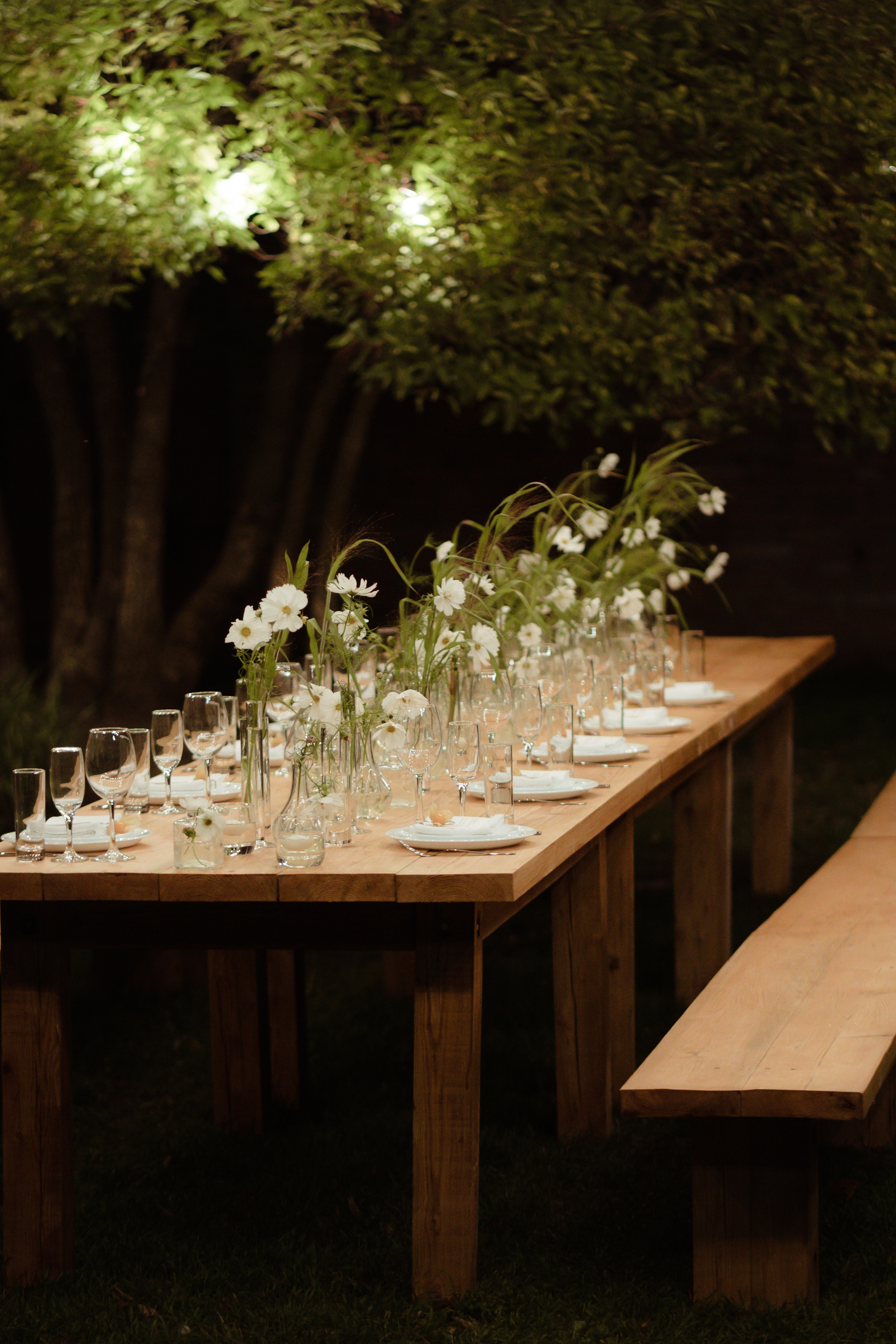 Eva — Mark. Elopement Wedding Photographer