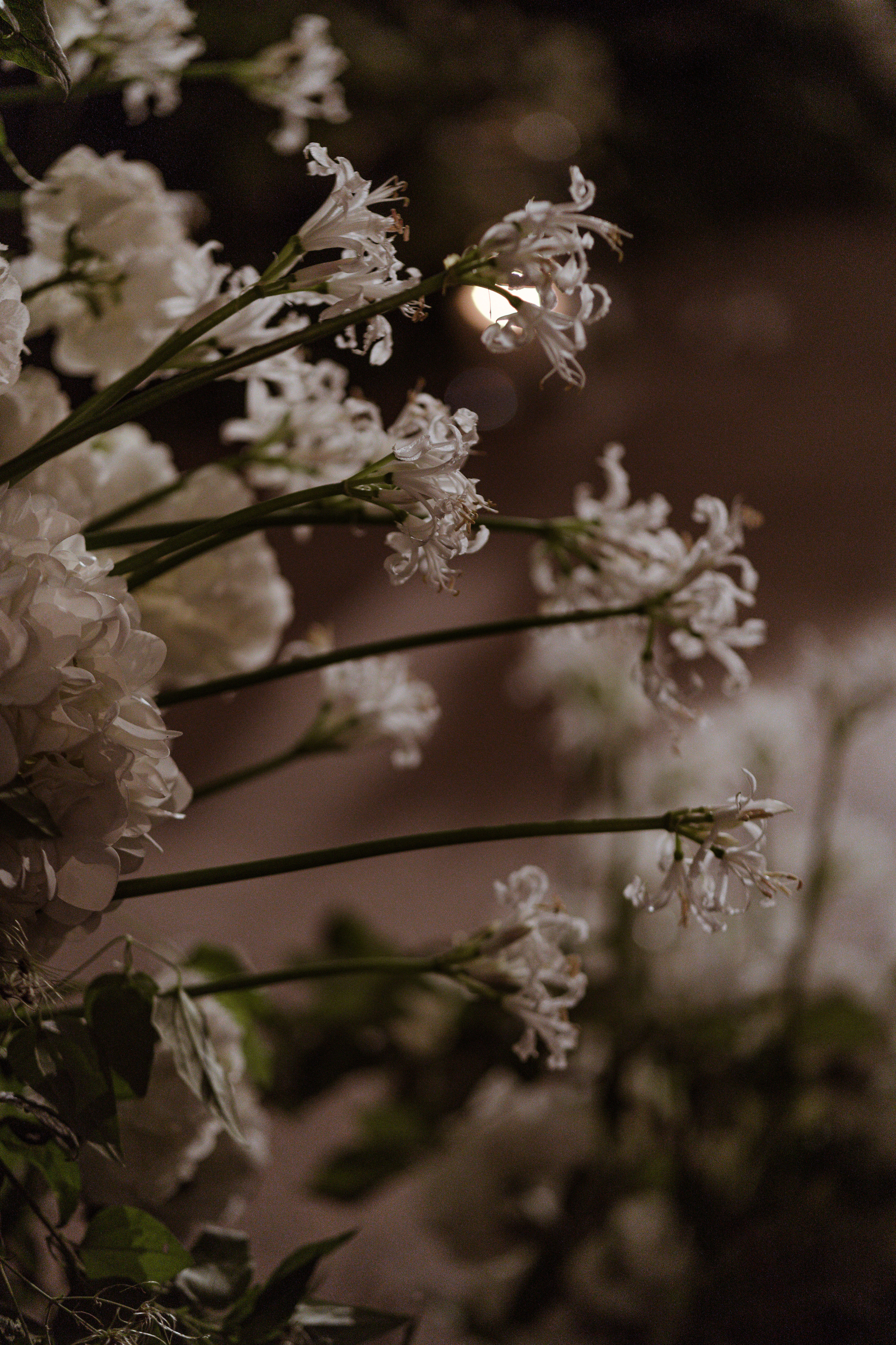 Eva — Mark. Elopement Wedding Photographer