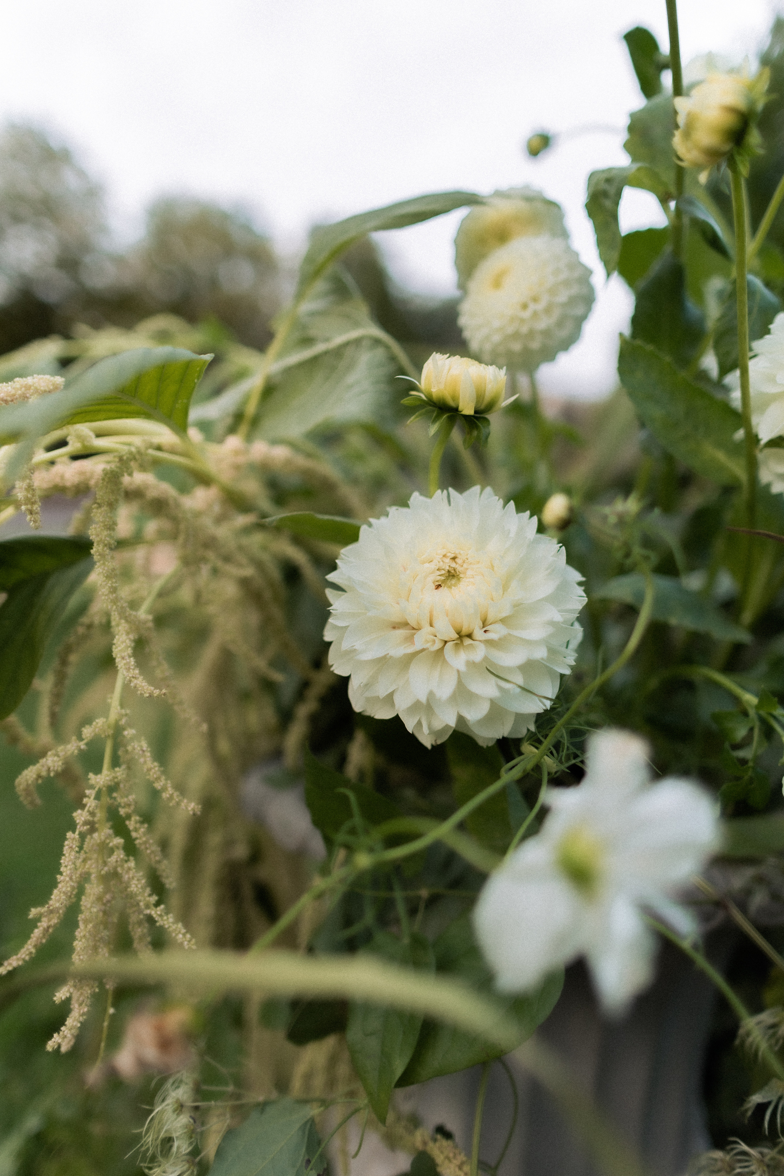 Eva — Mark. Elopement Wedding Photographer