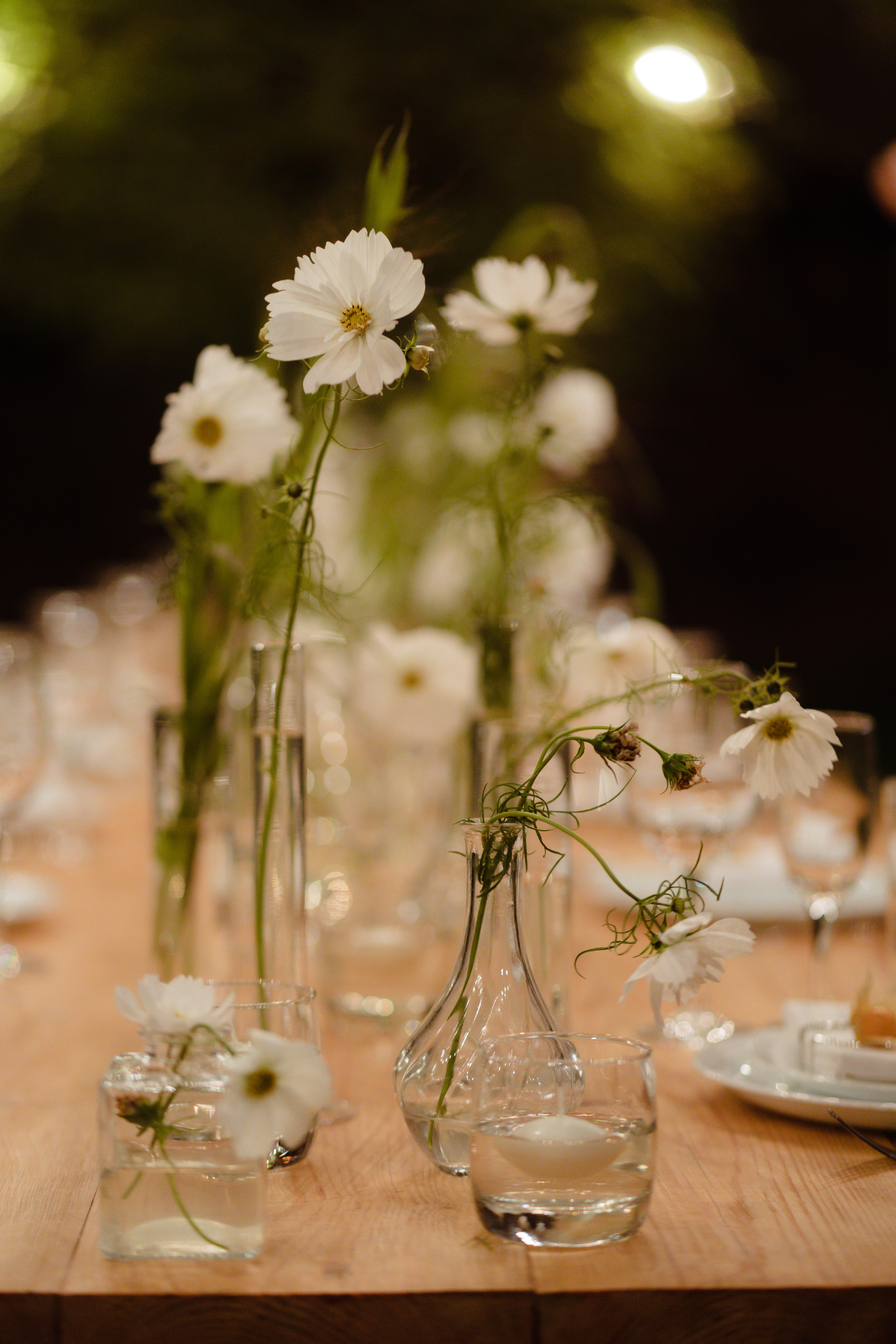 Eva — Mark. Elopement Wedding Photographer