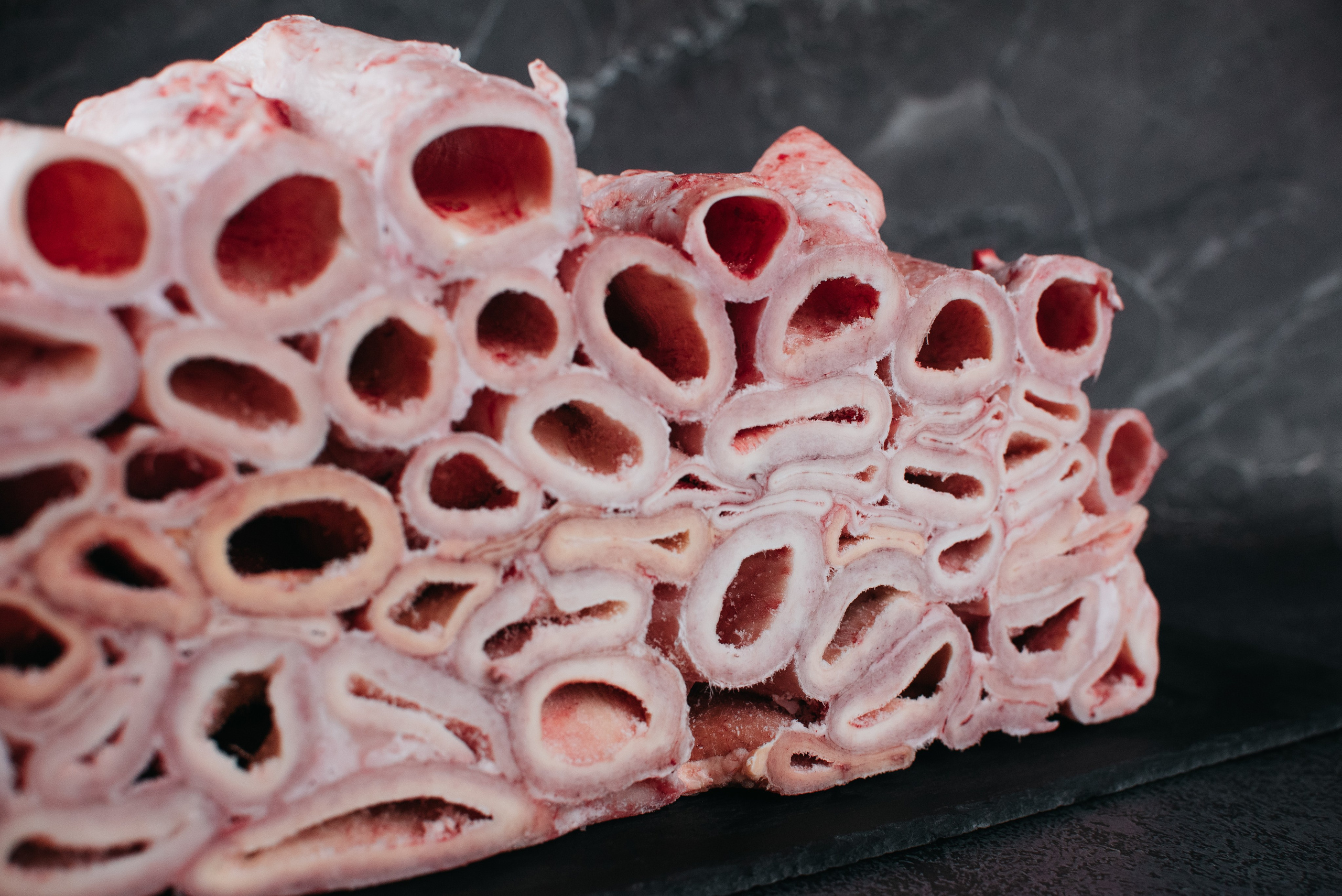 Dog Bone лакомства. Фотограф-анималист Валерия, Москва, Мытищи