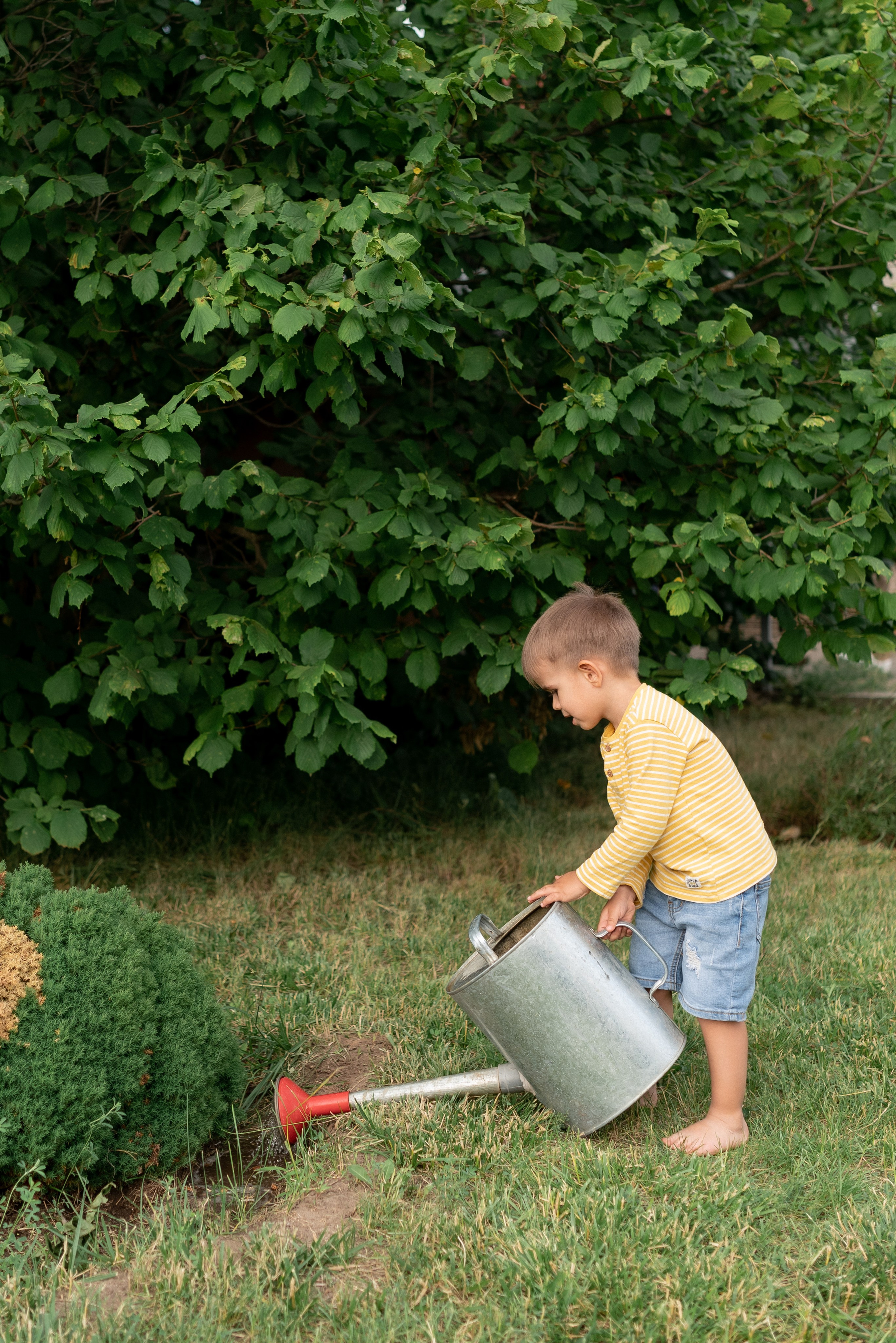 Дача. Семейный фотограф Ирина Сгибнева