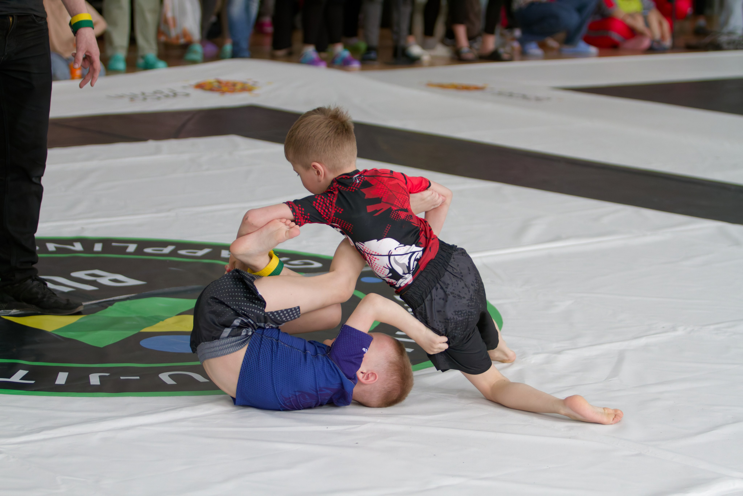 Борьба. Джиу-джитсу 26.04.2025. Репортажный и спортивный фотограф в г. Пермь Зильберг Павел