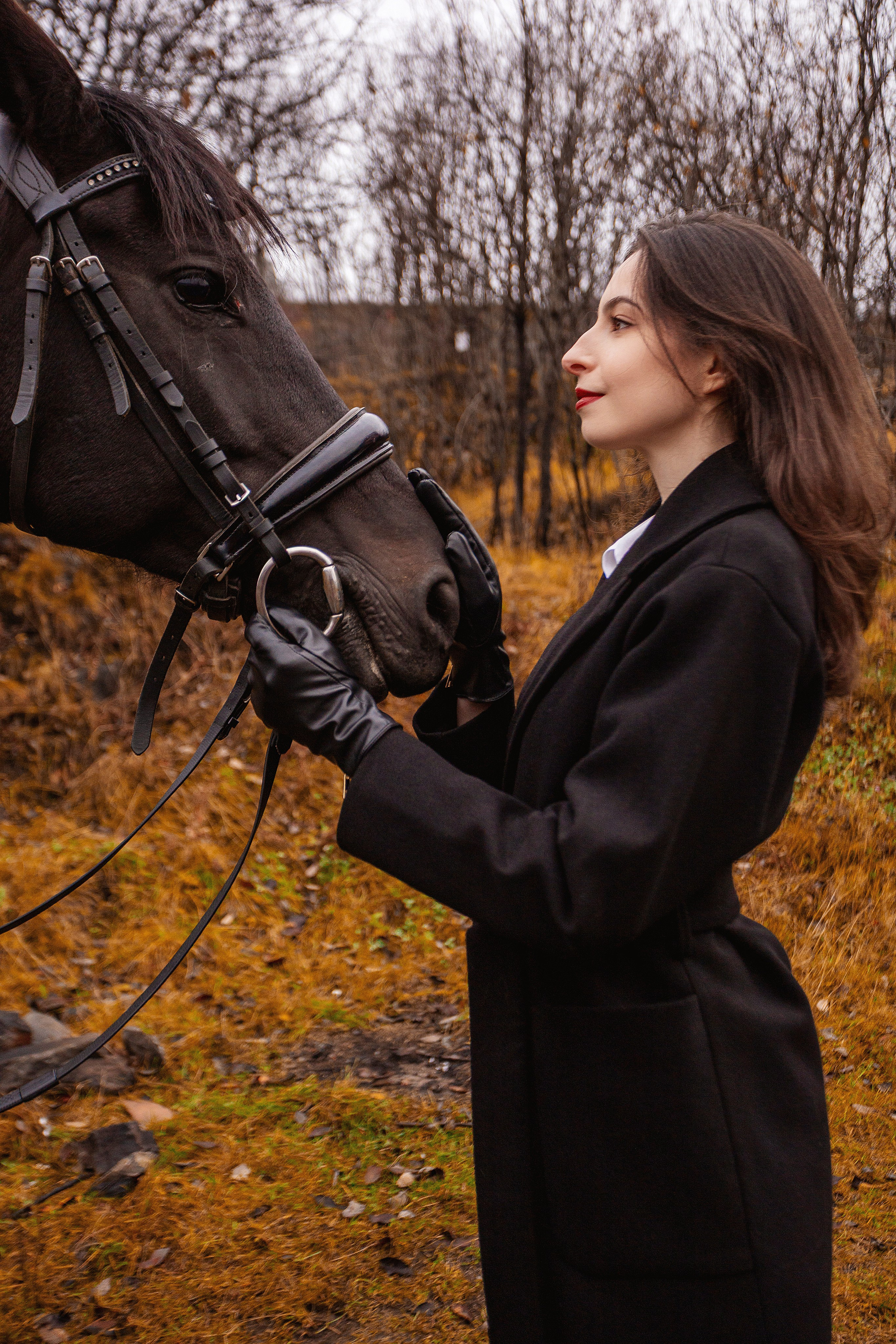 Horses. Фотограф Мурманск Лилия Маер