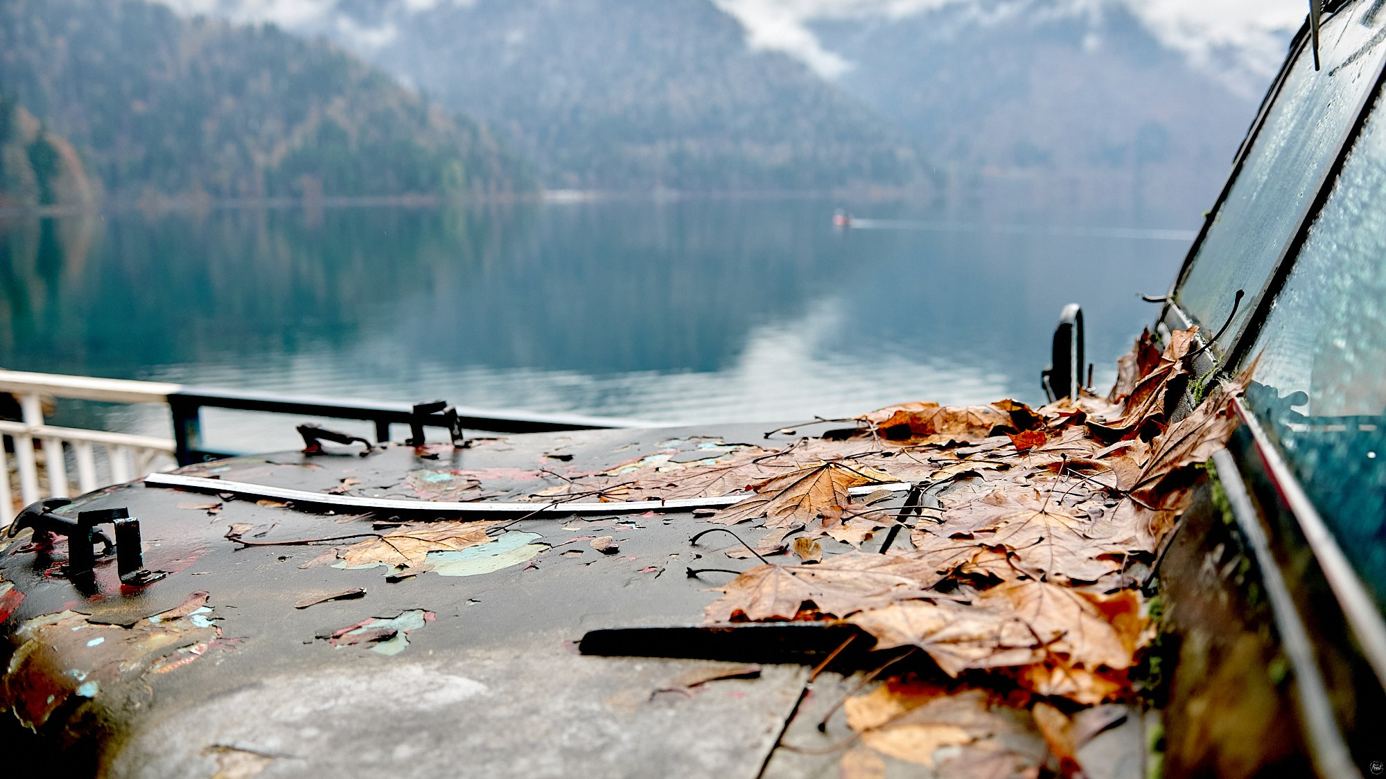 Озеро Рица, Абхазия. Декабрь 2024. Фотографии отовсюду и обо всем