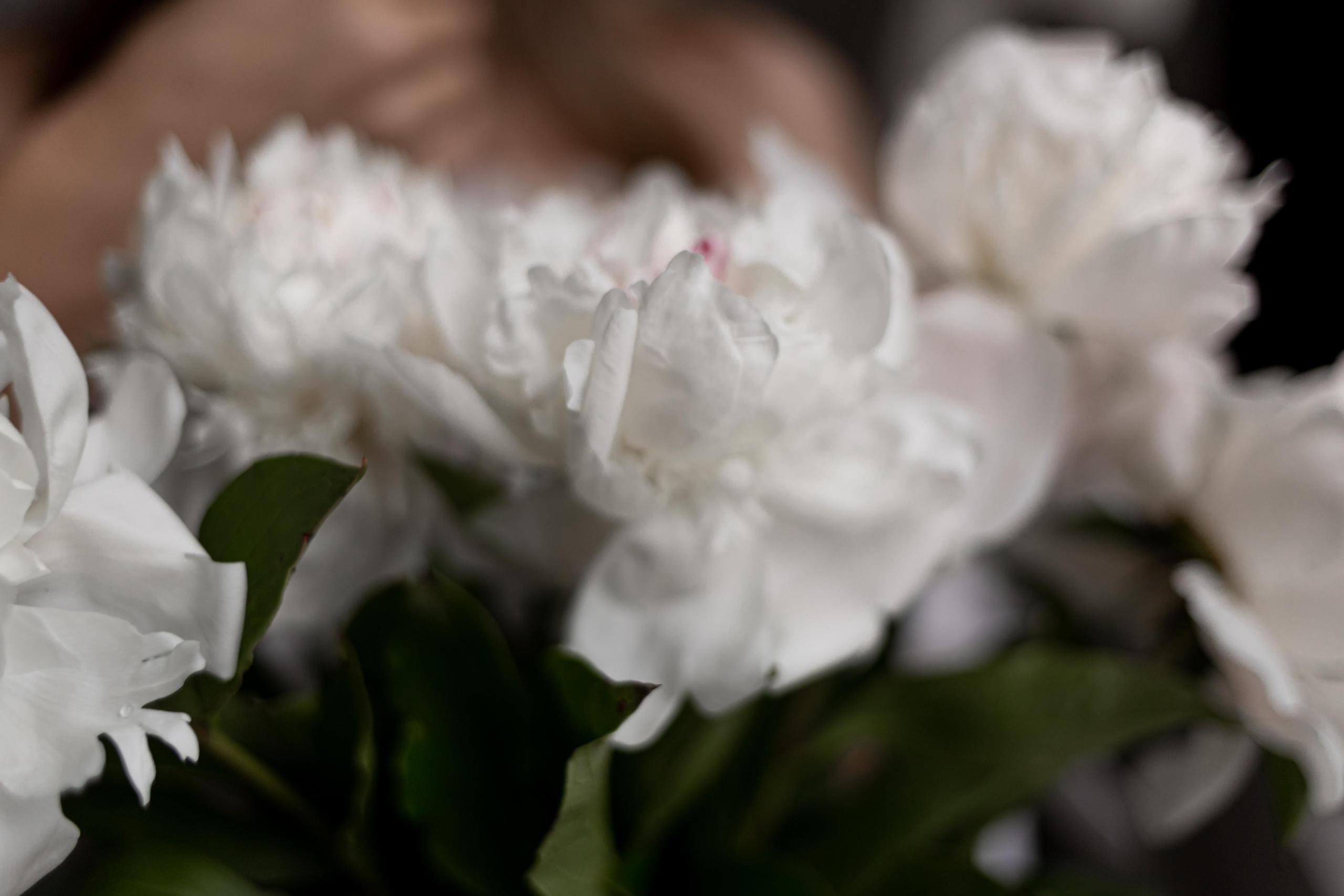 Светлана. Анна Демидец — маркетолог и фотограф в Новошахтинске, Шахтах и Ростове-на-Дону и онлайн по РФ