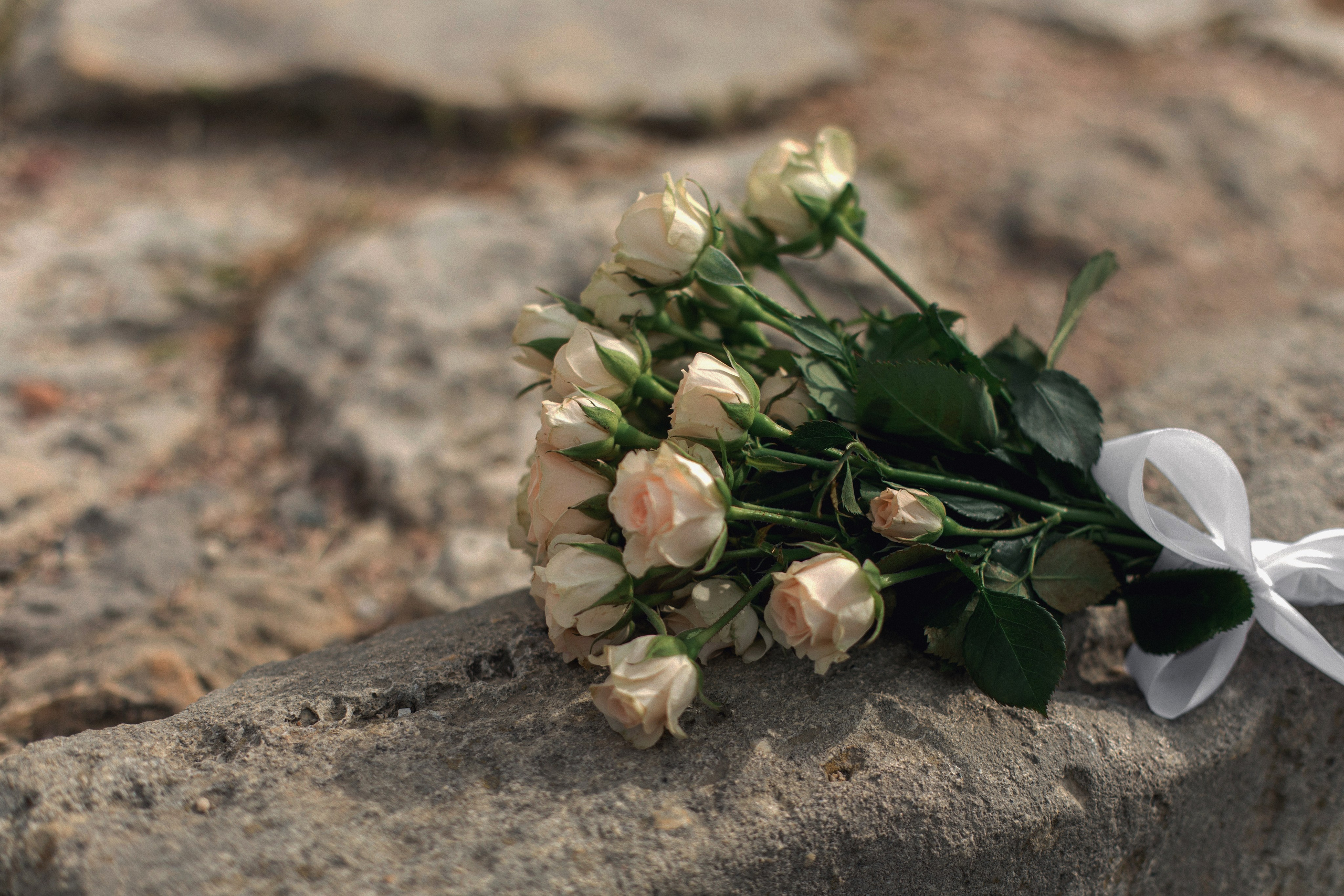 Александр и Ксения