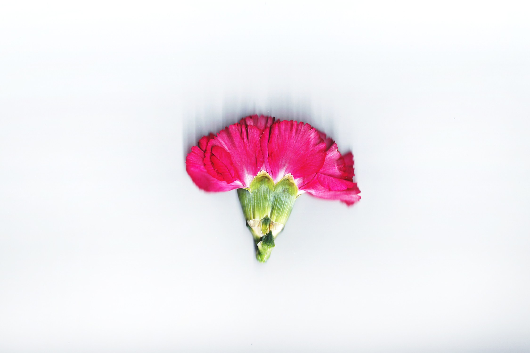 So far, alive and well. Daria Kryl