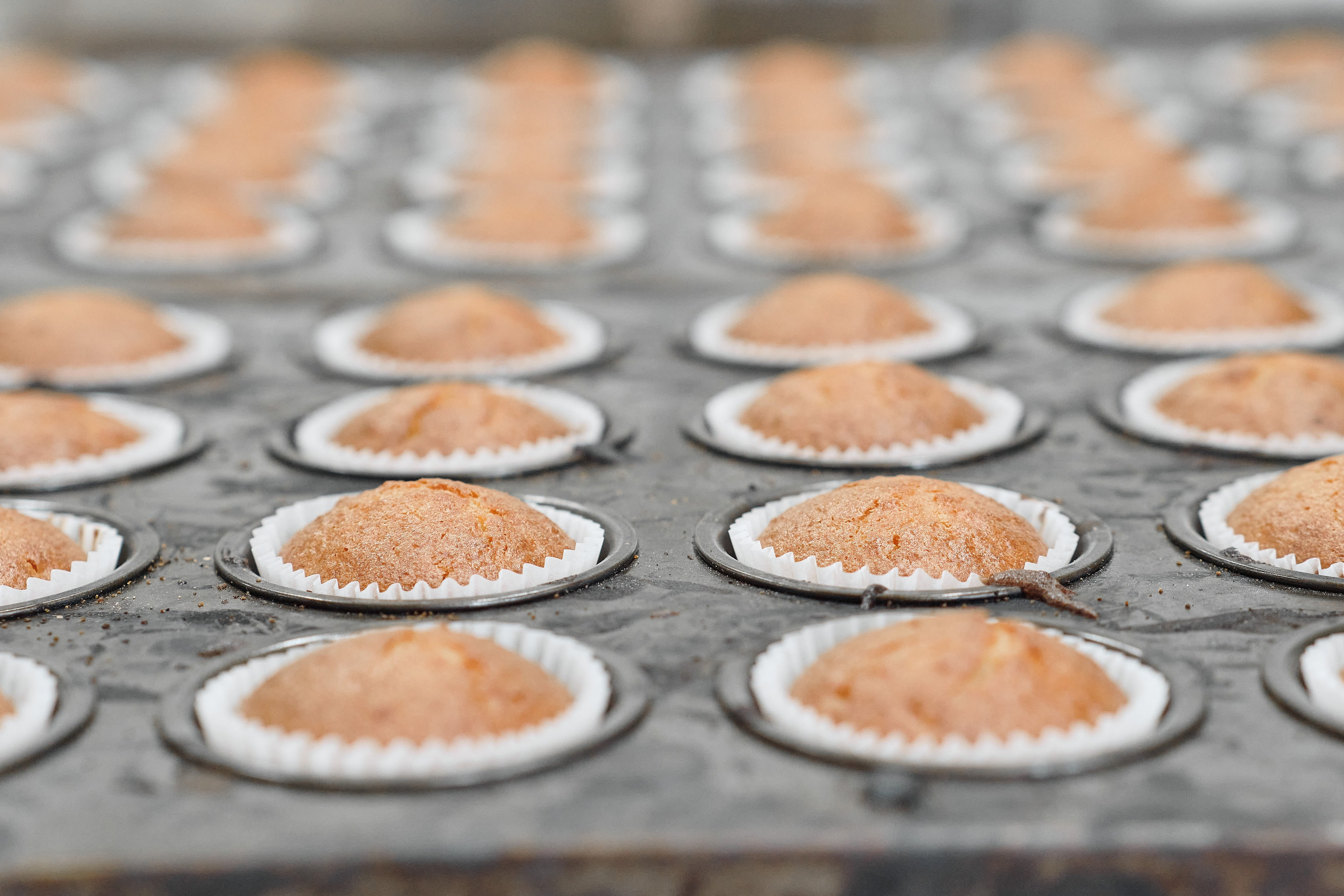 Фотограф на мероприятие. Light Media — креативный видеопродакшн