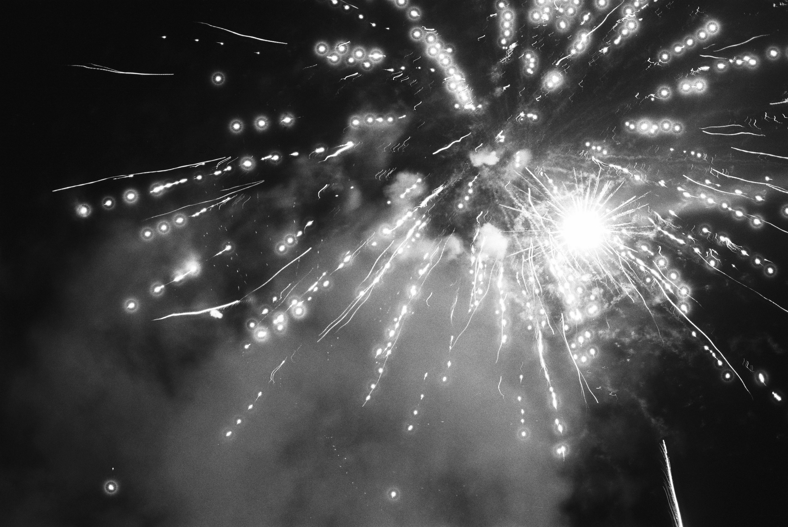 LIFE. Zheltokhov Egor