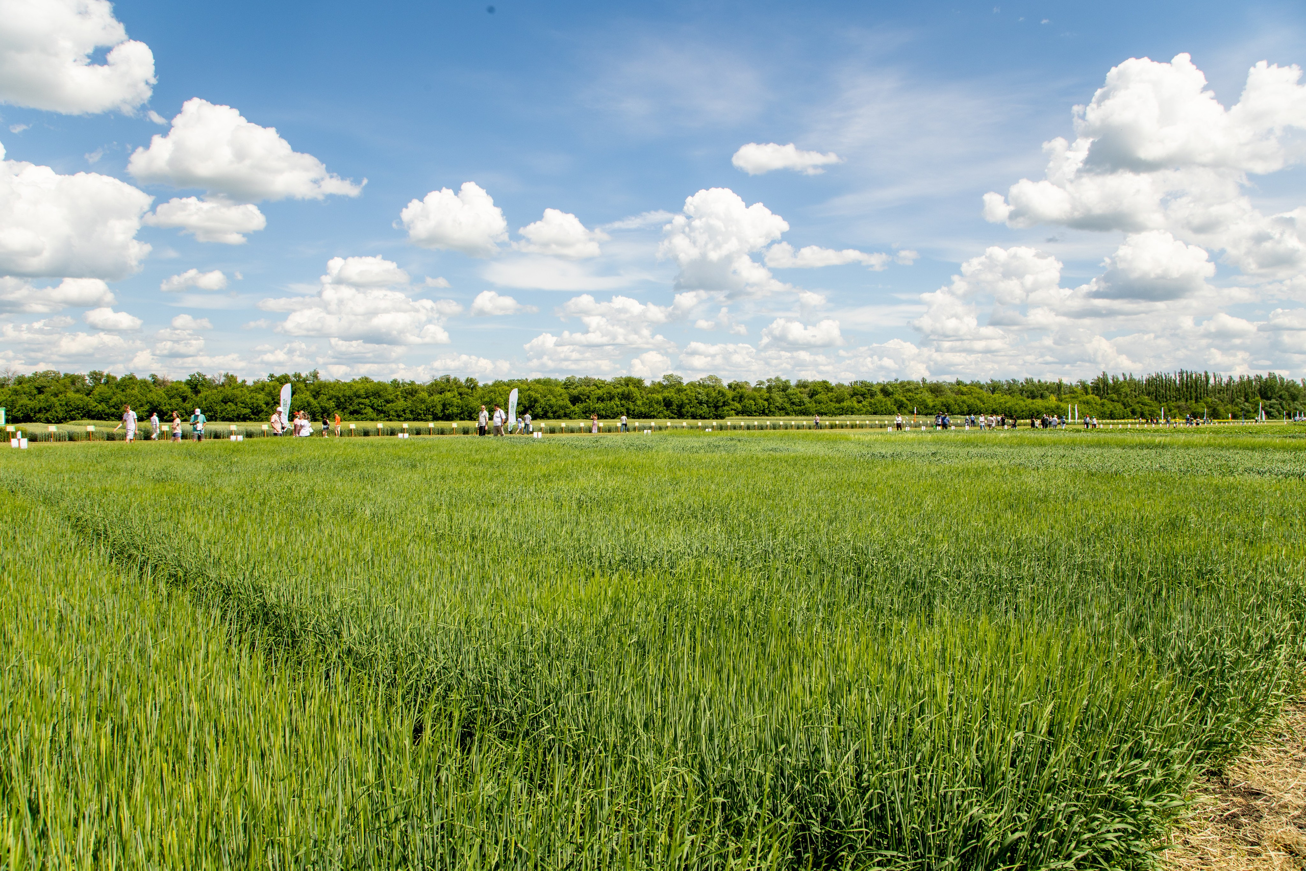 День Поля 2022. Владислав Волков | Фотография и видеосъемка в Воронеже