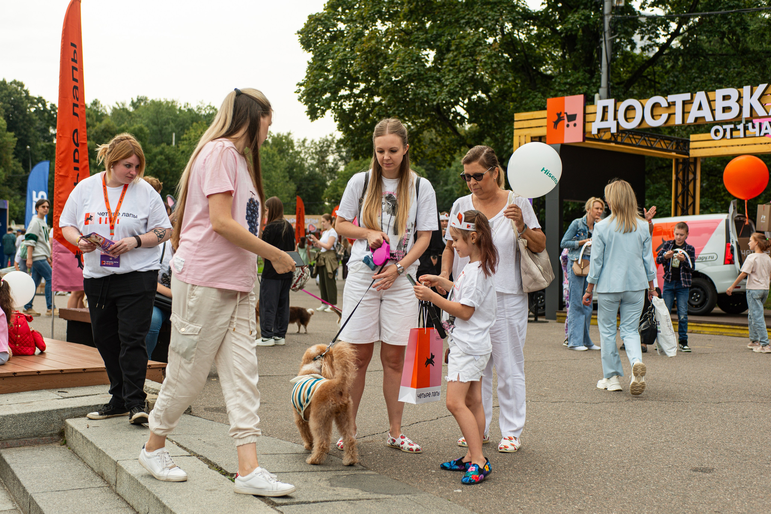 Репортажная съёмка фестиваля 4 лапы. Репортажный и персональный фотограф в Москве