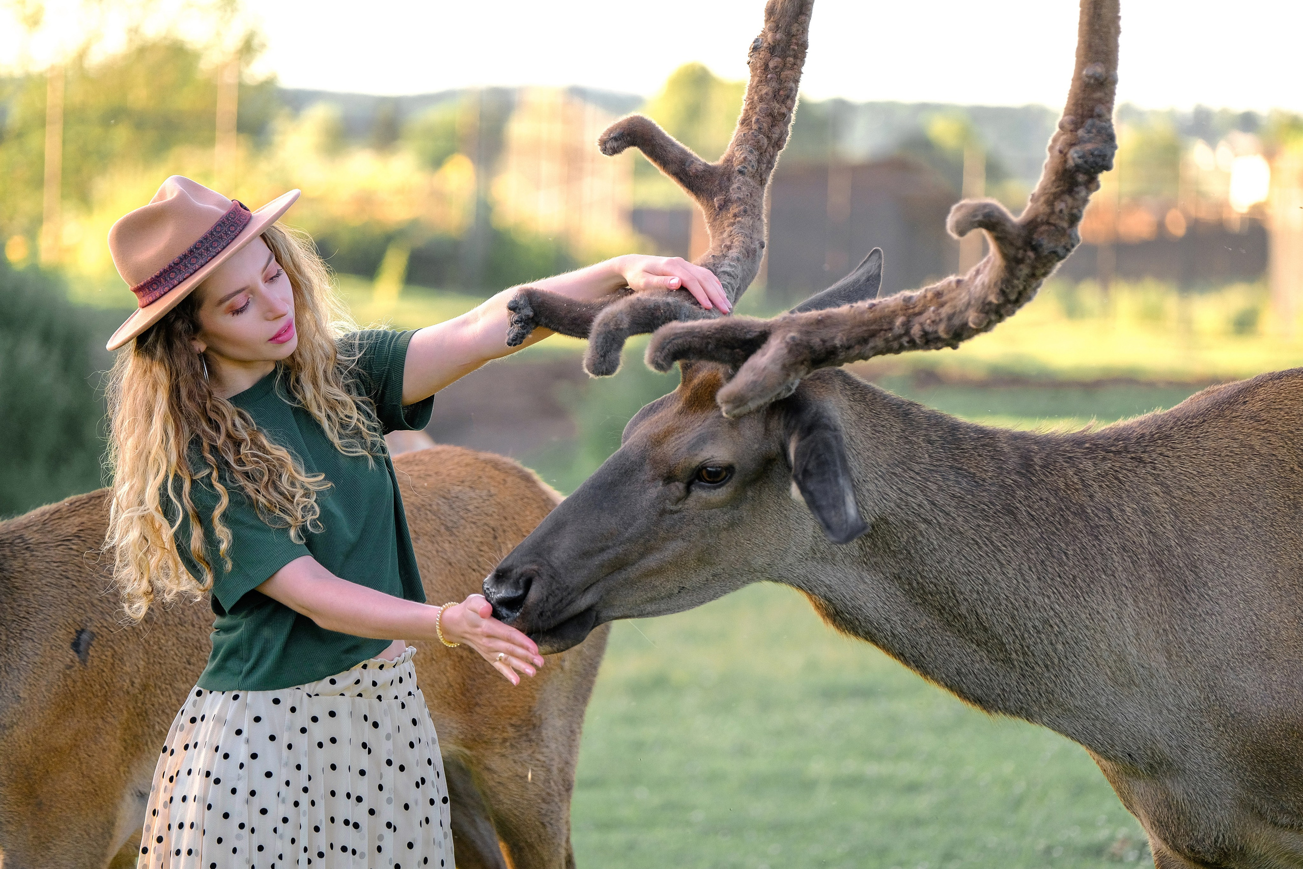 Кирил и Алина