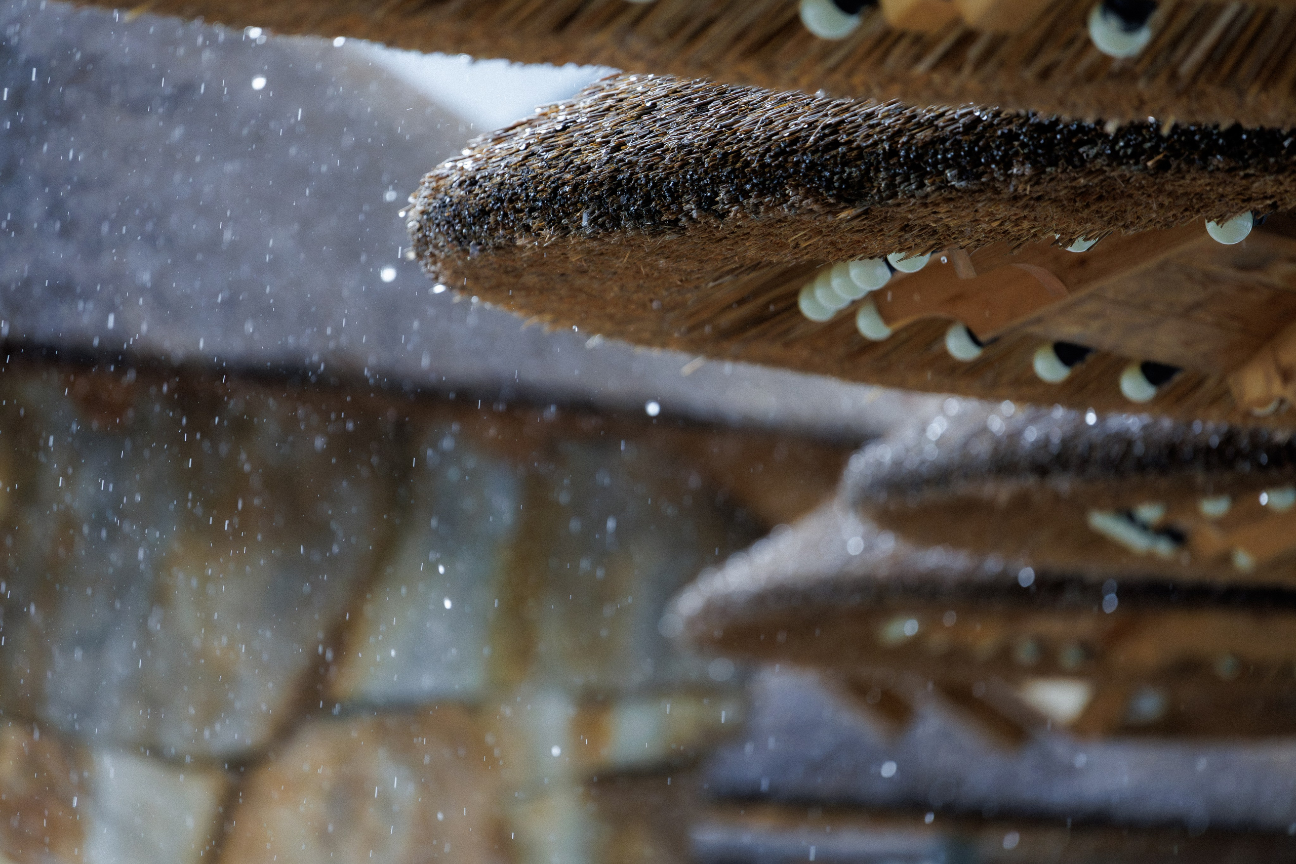 Юбилей компании — фотоотчёт празднования. Красильников Евгений — профессиональный фотограф в Ростове-на-Дону