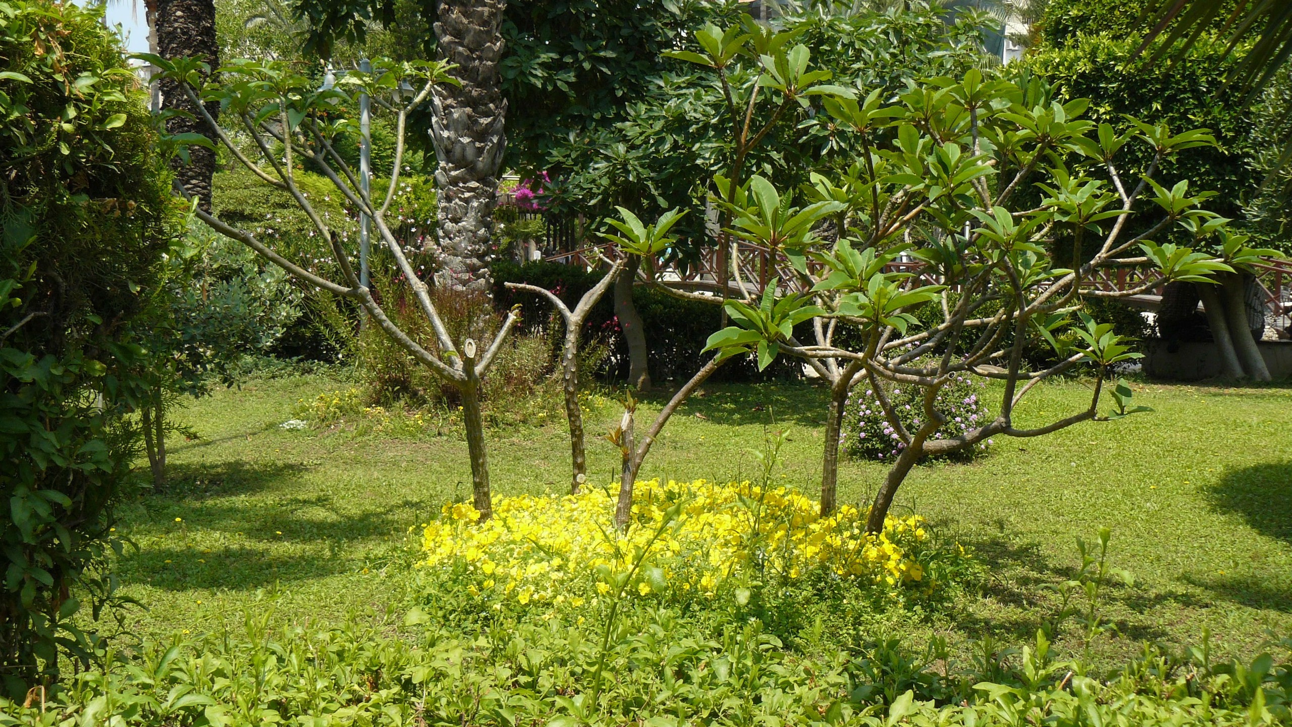 Алания 2015 порт и парк. Фотопрогулки по Миру