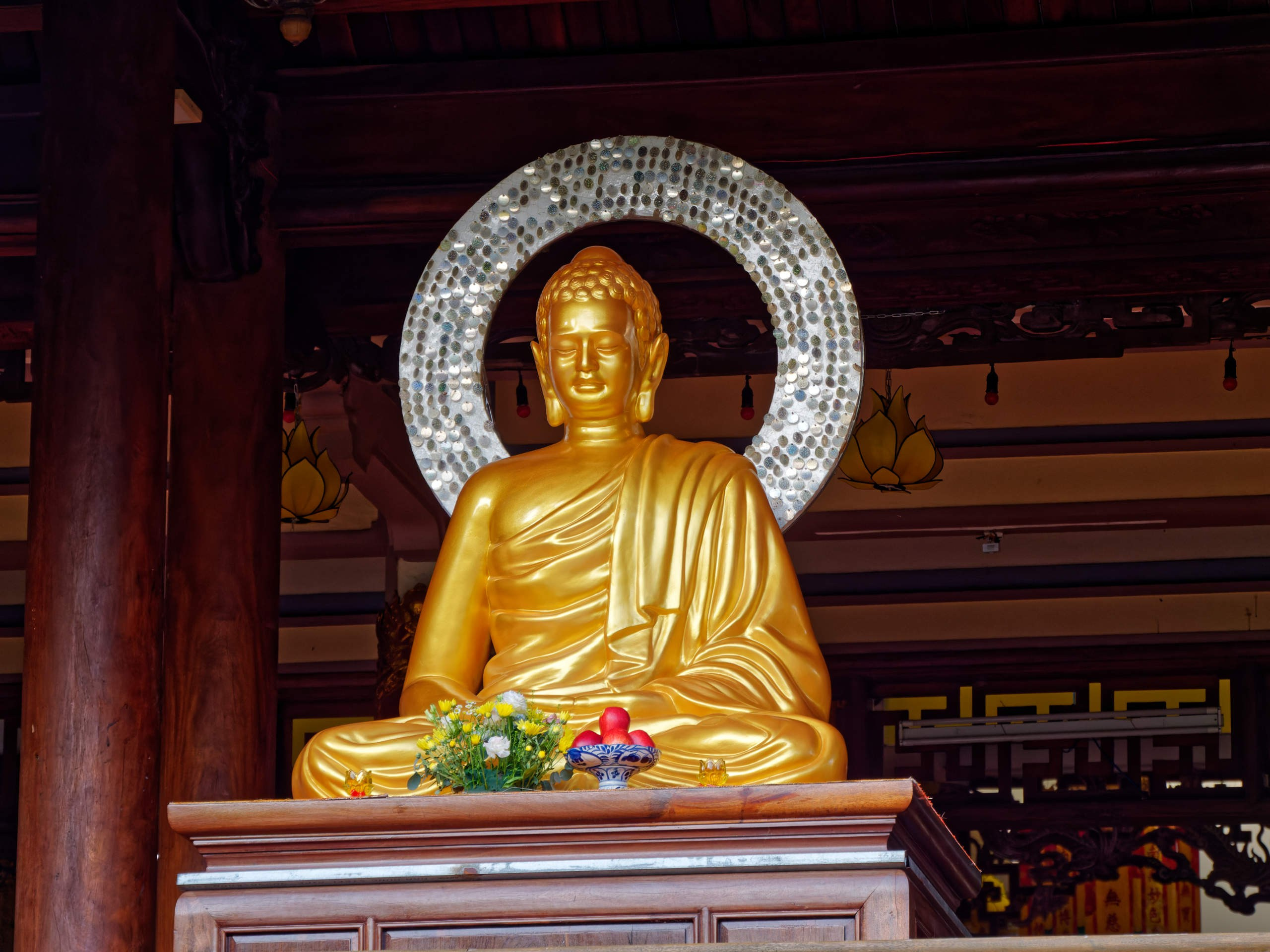 Нячанг 2023. Избранные фотографии