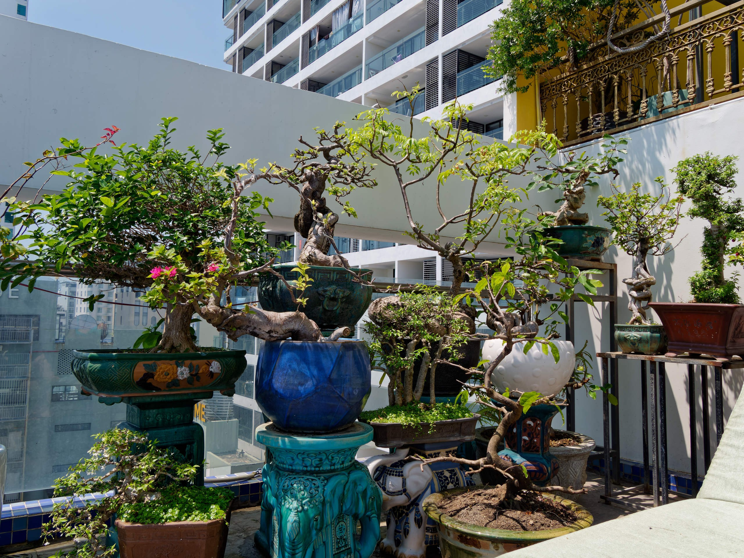 Нячанг 2025 (2). Избранные фотографии