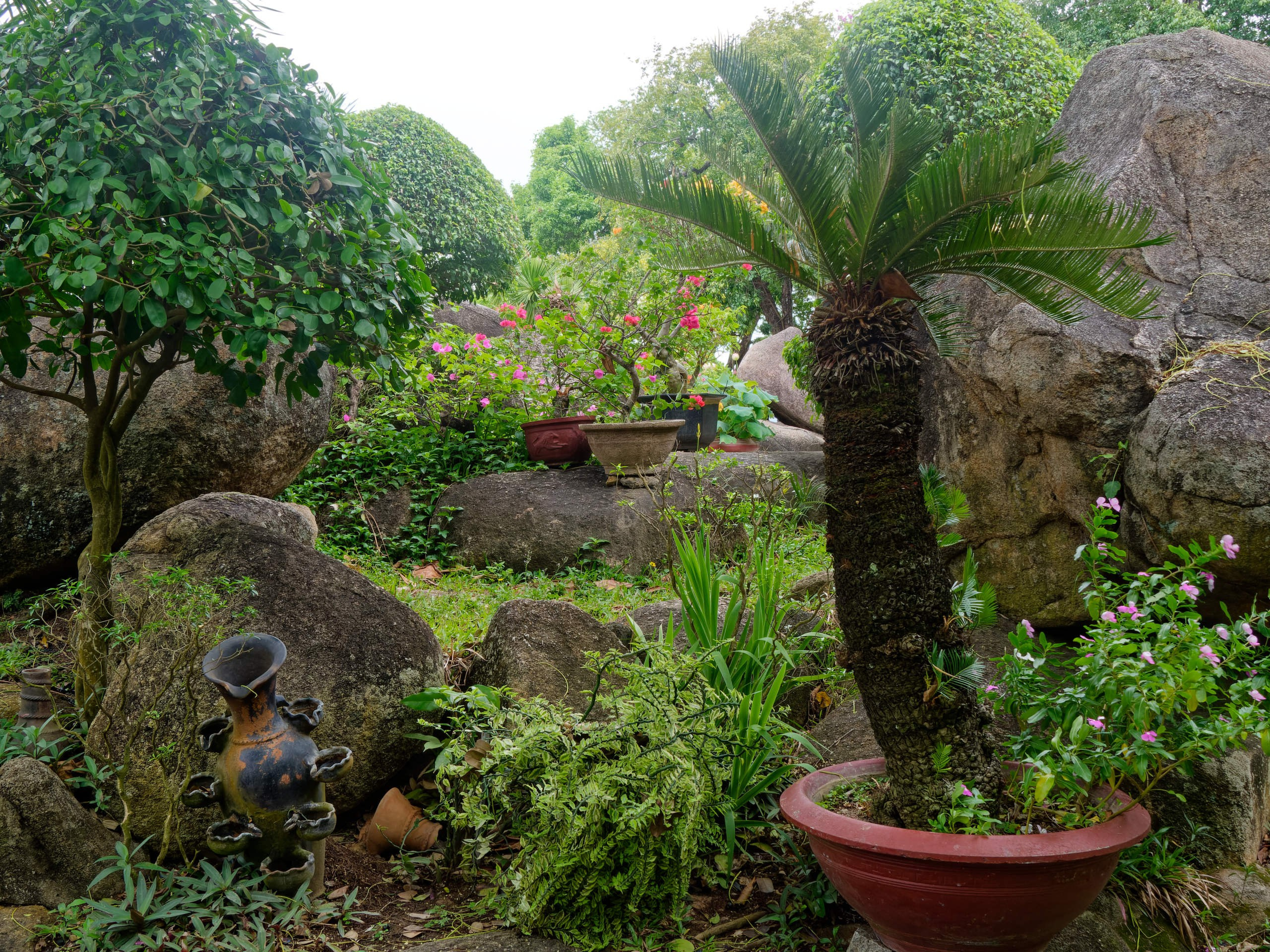 Нячанг 2025 (4). Избранные фотографии