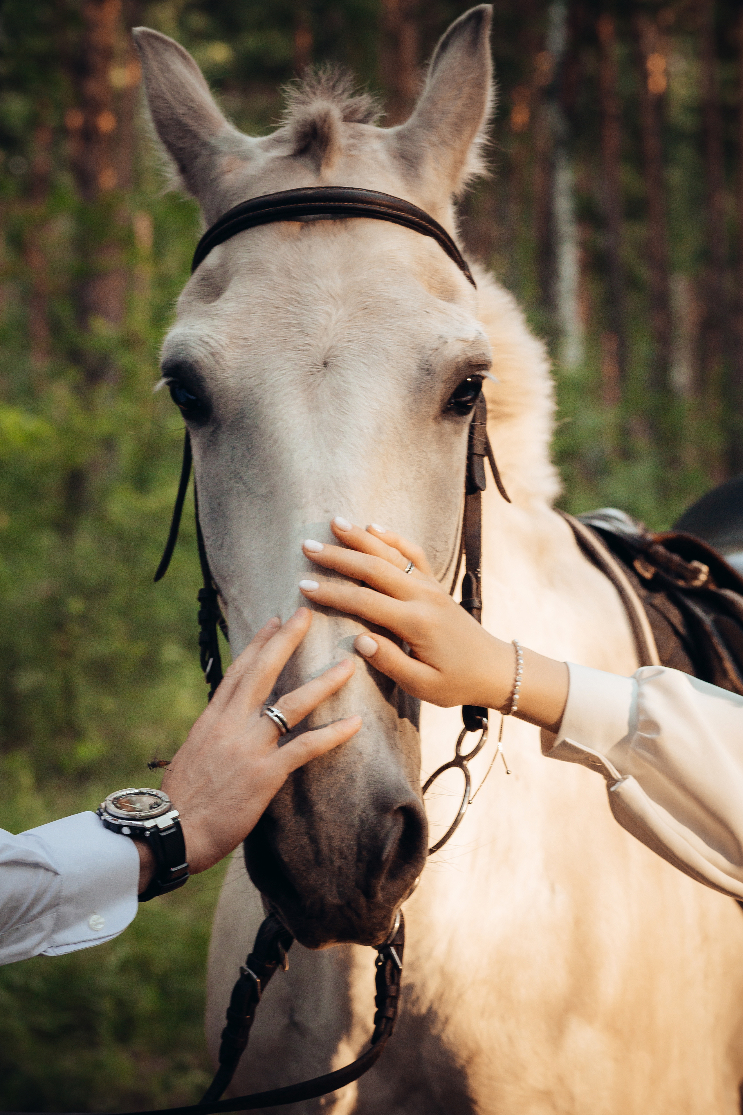 Шамиль и Айна. Свадебный, репортажный фотограф в Тюмени Сергей Тапилин