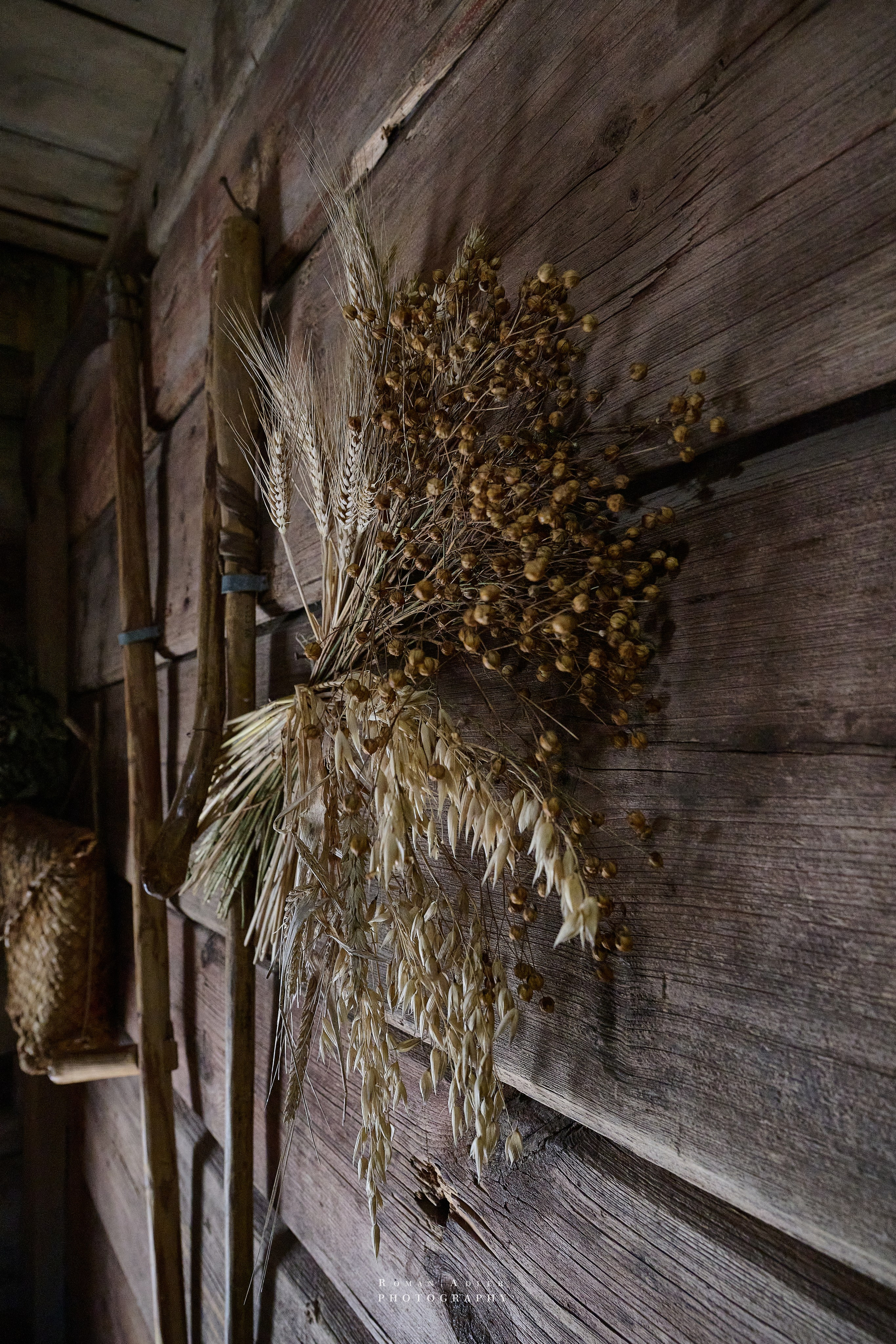 Суздаль. Июнь 2025. Фотограф Роман Адлер