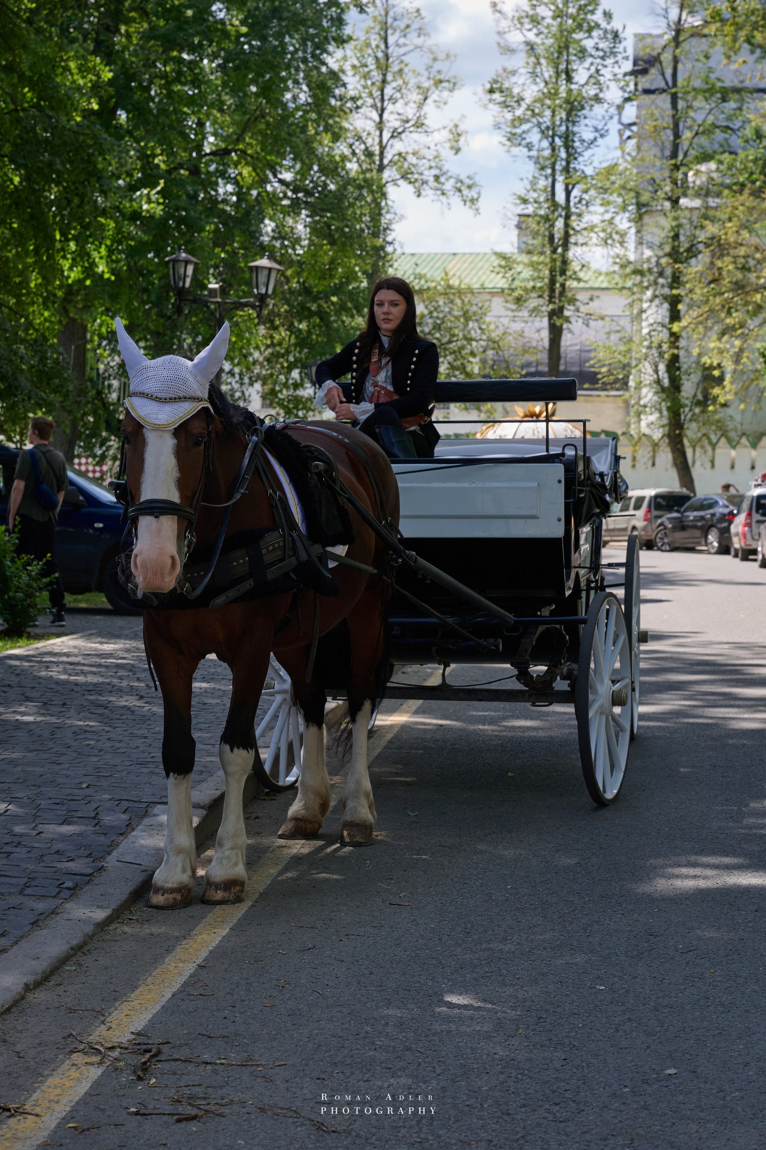 Суздаль. Июнь 2025. Фотограф Роман Адлер