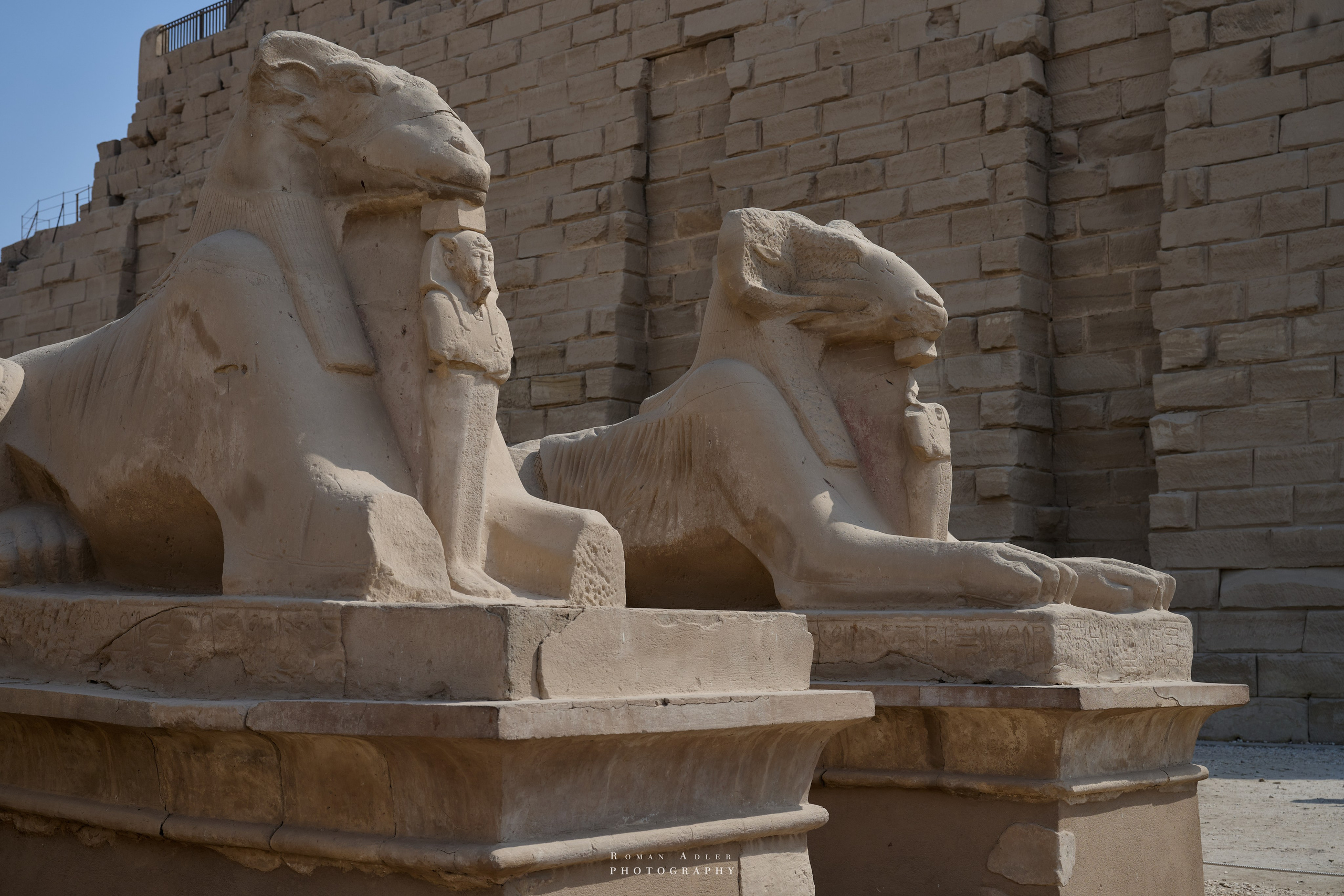 Луксор. Февраль 2025. Фотограф Роман Адлер