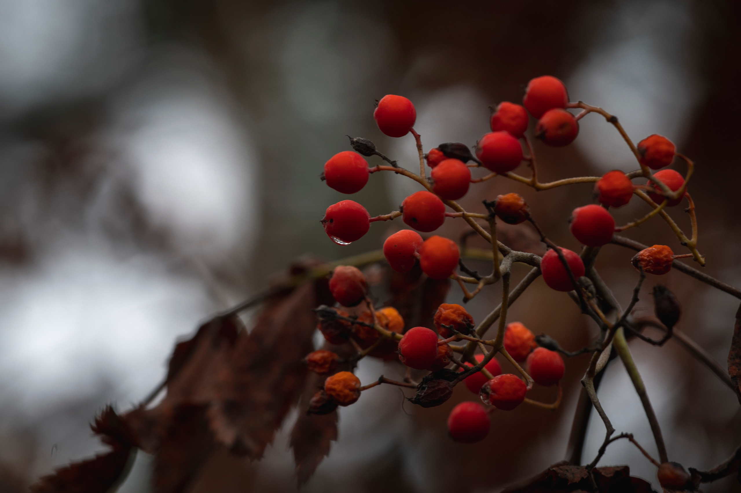 Фотопрогулка ДР. Фотограф Роман Адлер