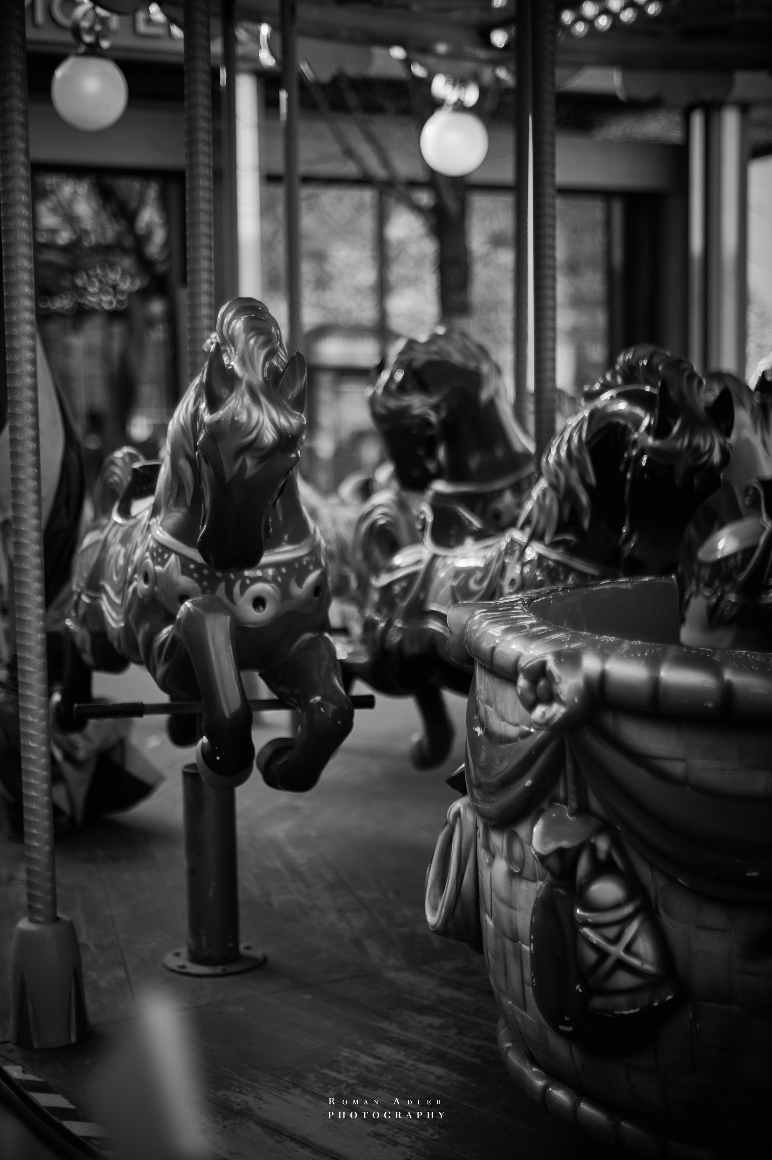 Carpe Diem 2026. Весна. Фотограф Роман Адлер