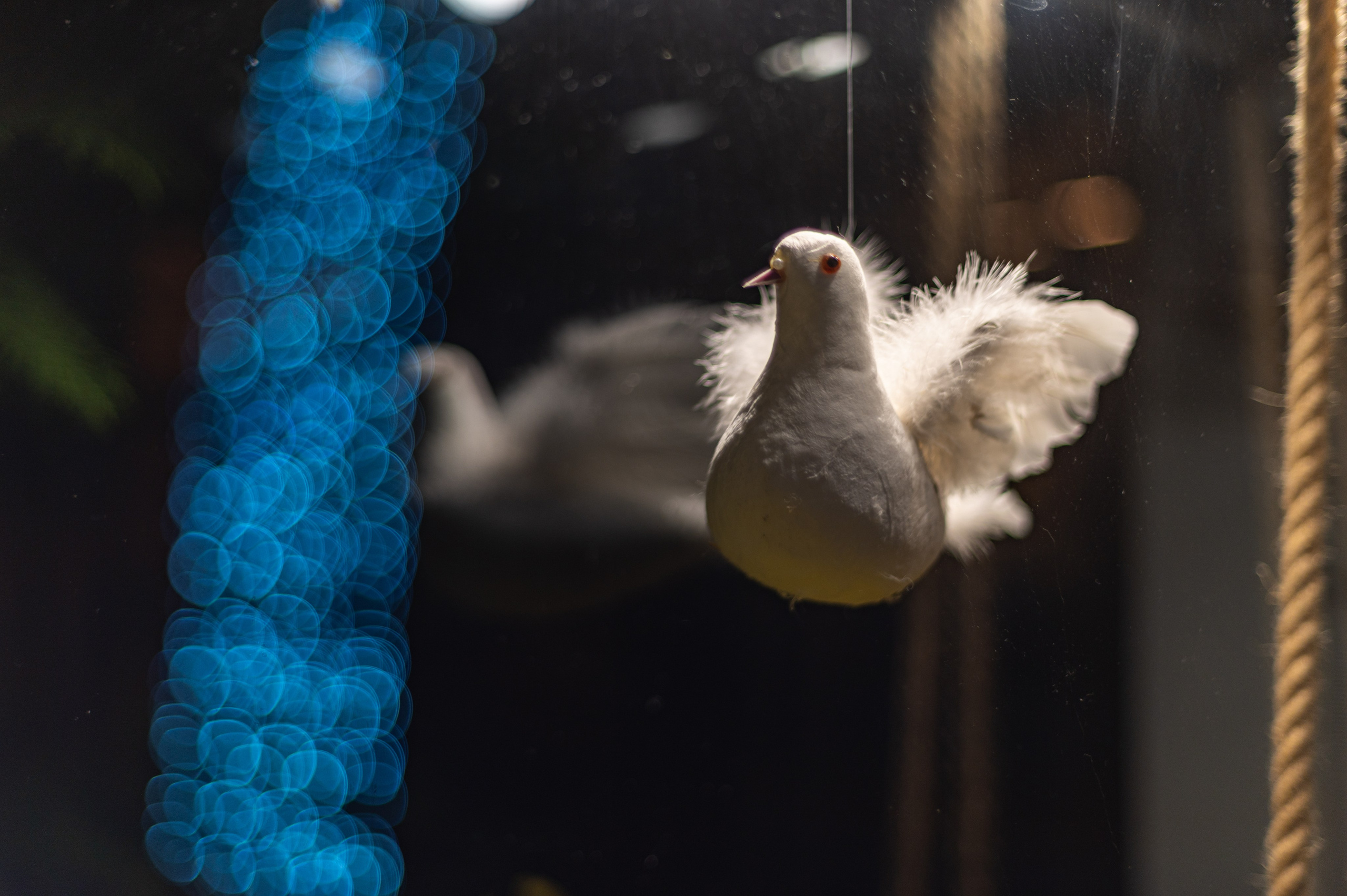 Суздаль. Май 2023. Фотограф Роман Адлер