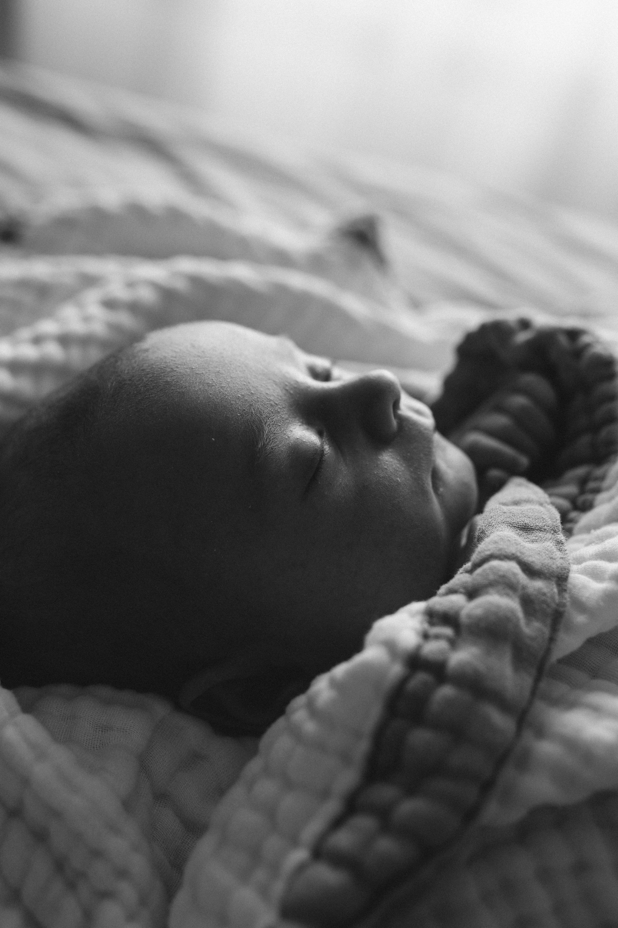 София | 1 месяц. Кобякова Мария. Фотограф новорождённых и детей до года город ИРКУТСК