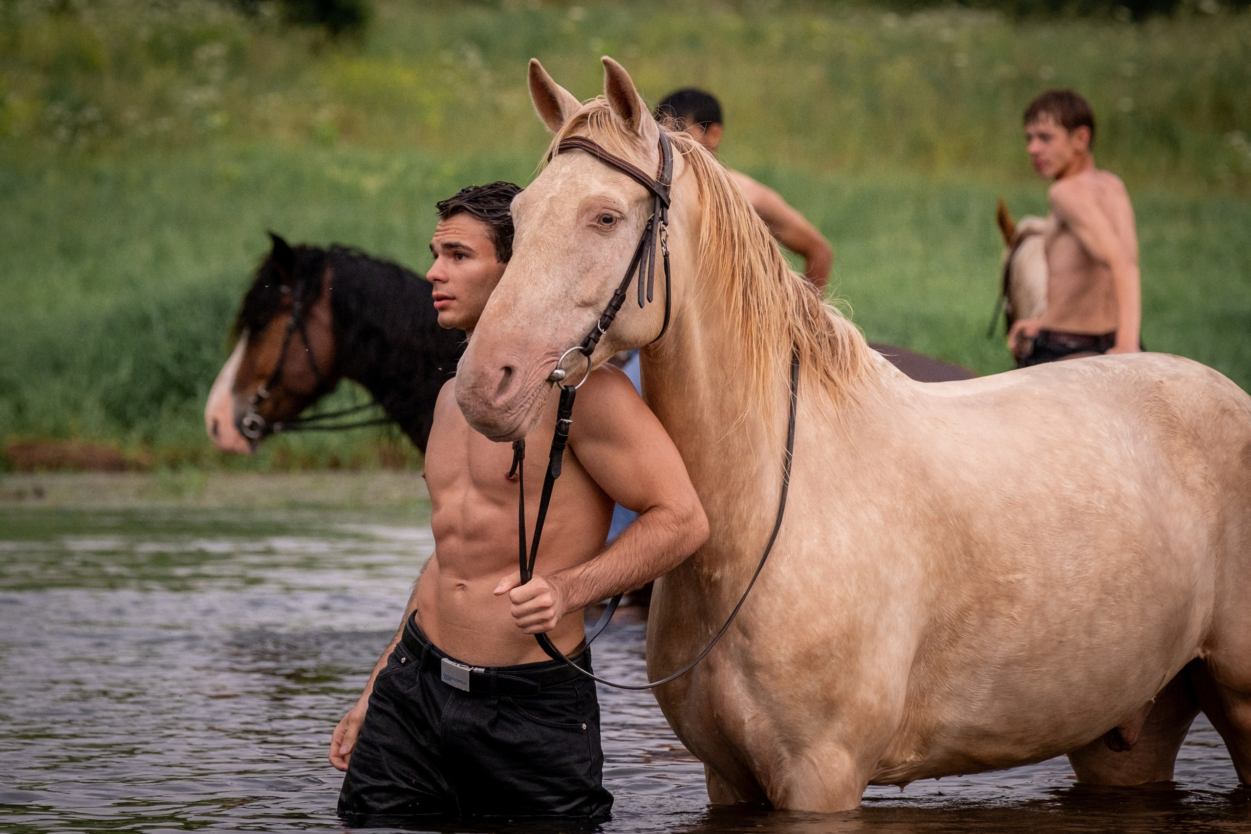 Люди и лошади!. Зоофотограф, фотограф животных в Москве и области Дина Дамоцева