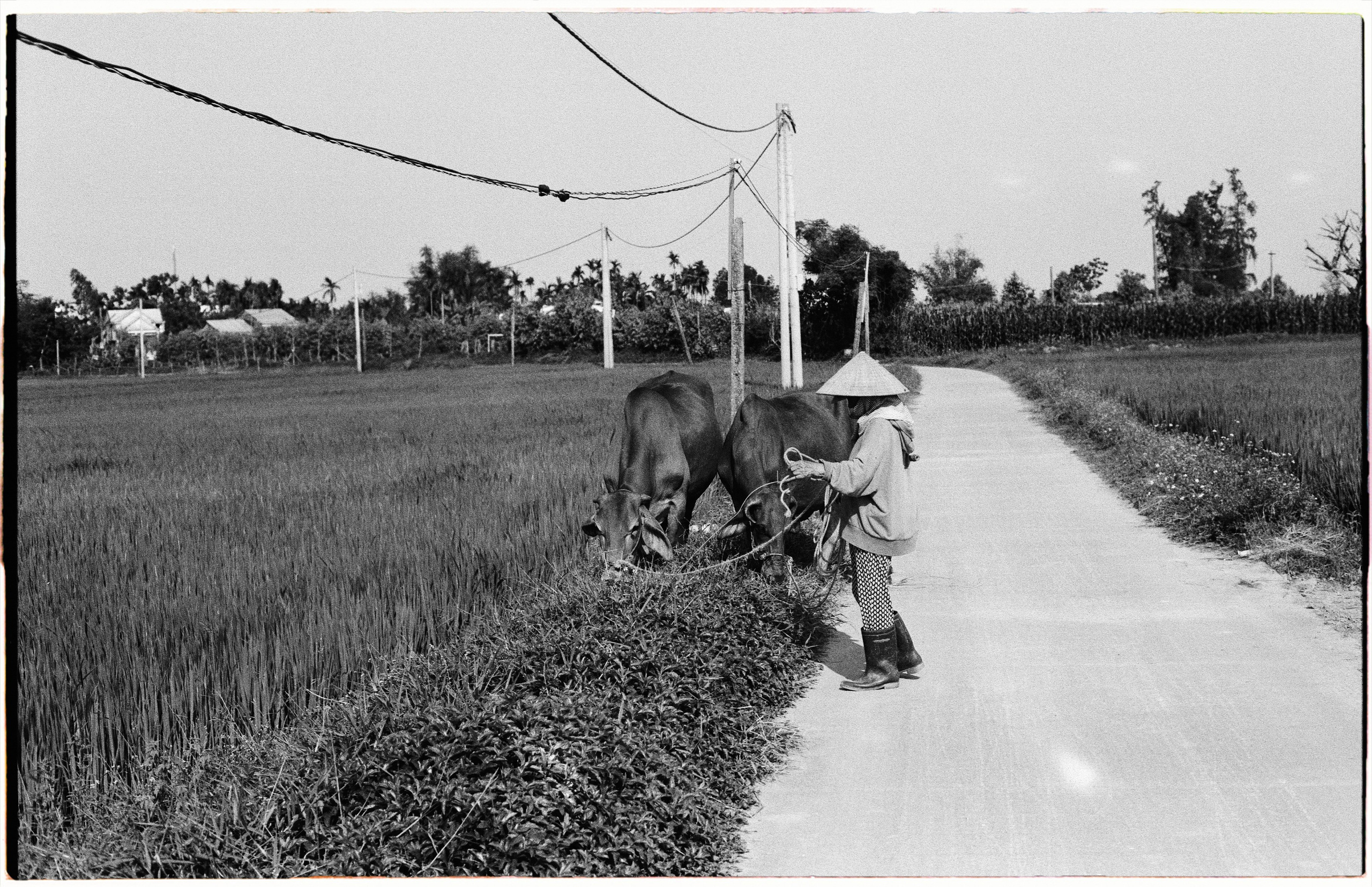 Vietnam «26. Фотограф Полина Треногина
