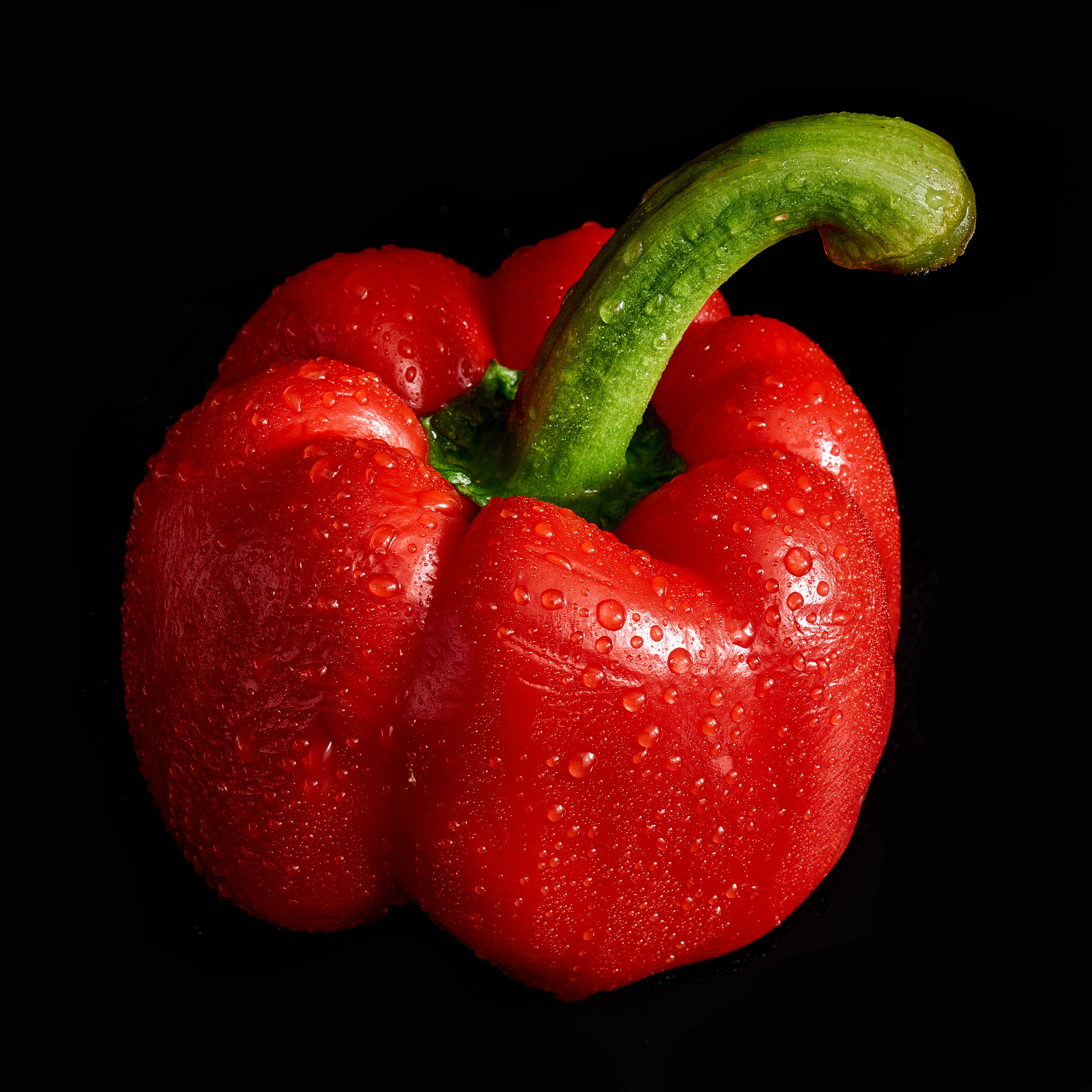 Предметная съемка. Пейзажный и семейный фотограф в Санкт-Петербурге Александр Белов