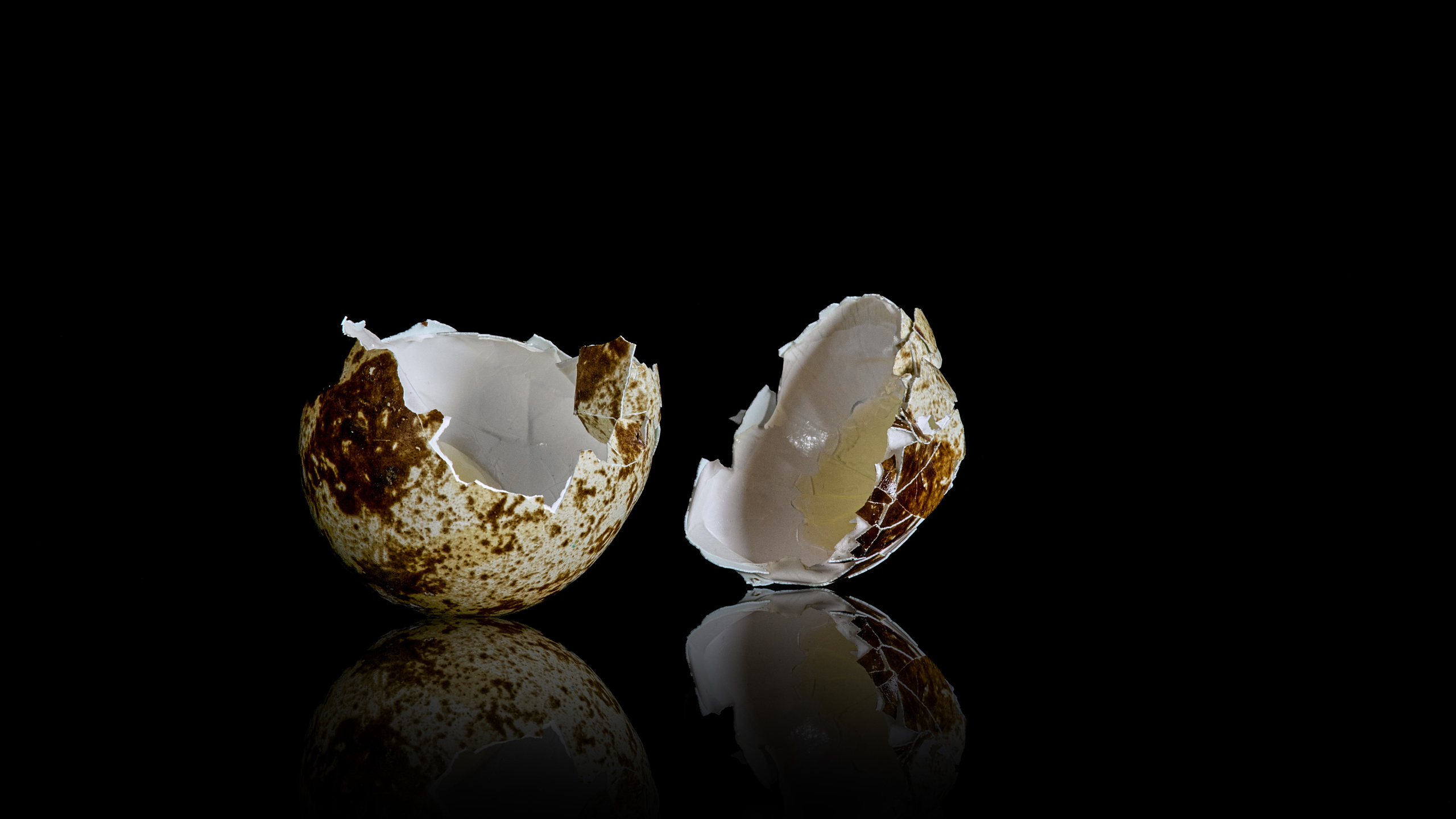 Предметная съемка. Пейзажный и семейный фотограф в Санкт-Петербурге Александр Белов