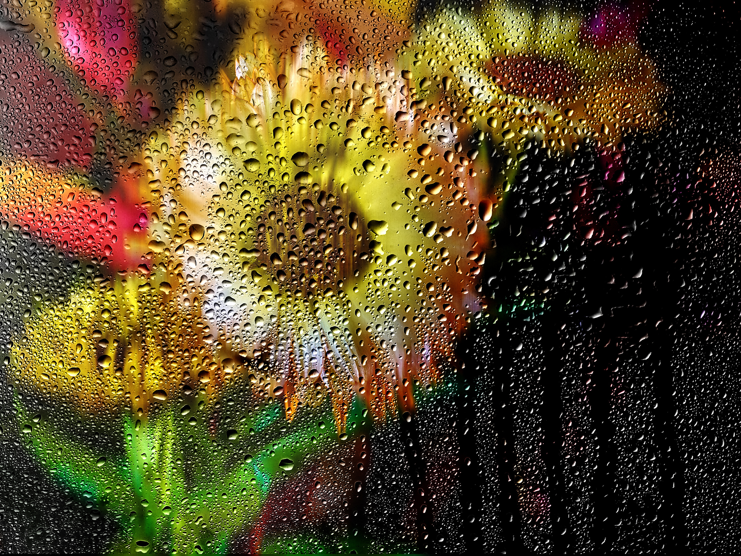 Предметная съемка. Пейзажный и семейный фотограф в Санкт-Петербурге Александр Белов