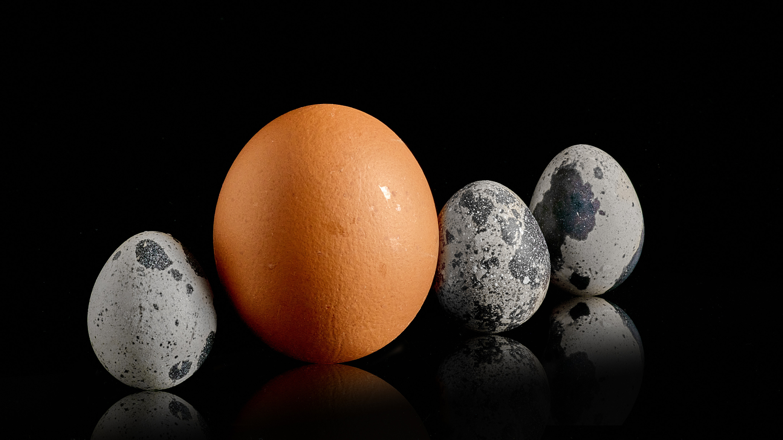 Предметная съемка. Пейзажный и семейный фотограф в Санкт-Петербурге Александр Белов