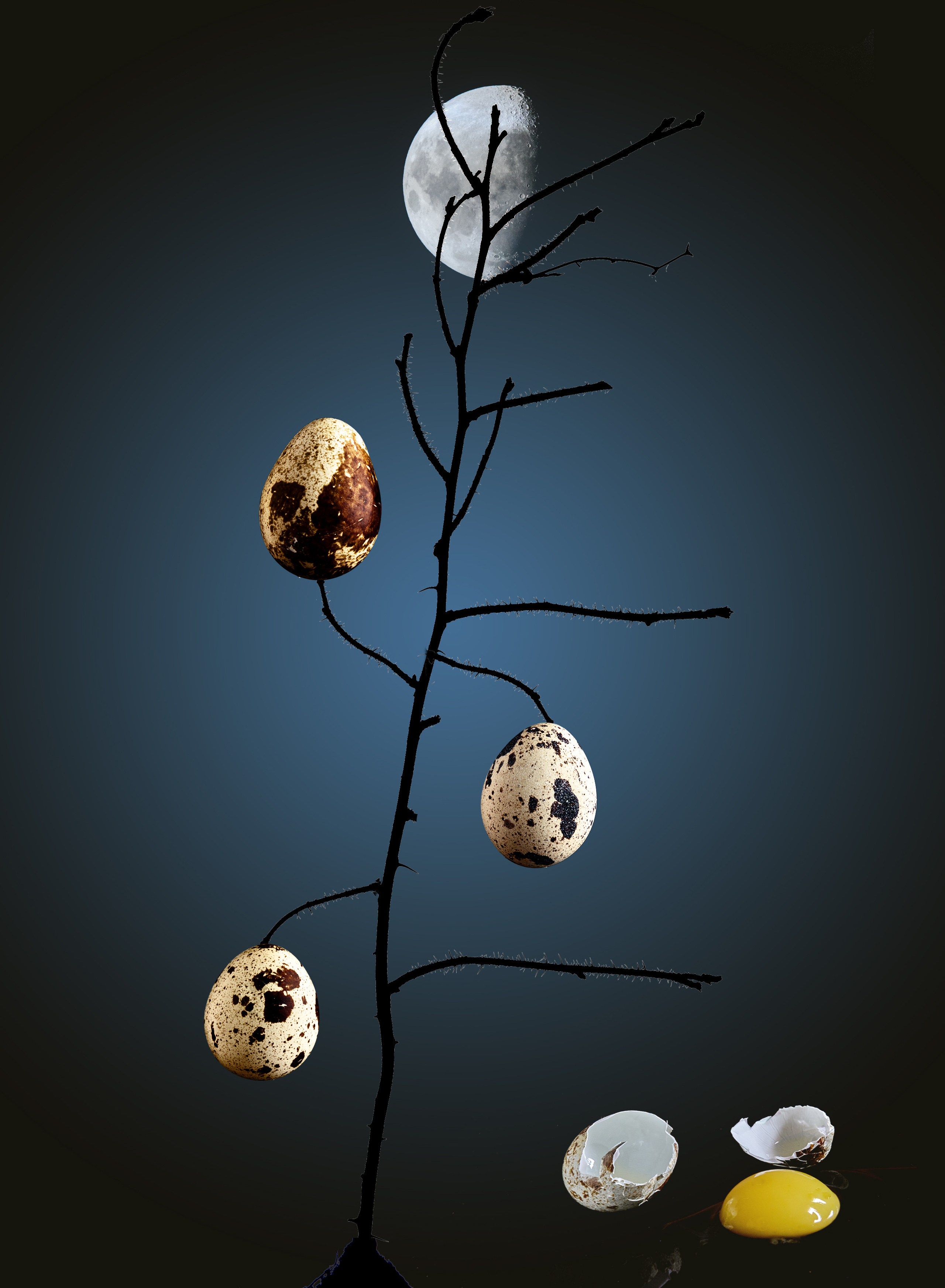 Предметная съемка. Пейзажный и семейный фотограф в Санкт-Петербурге Александр Белов