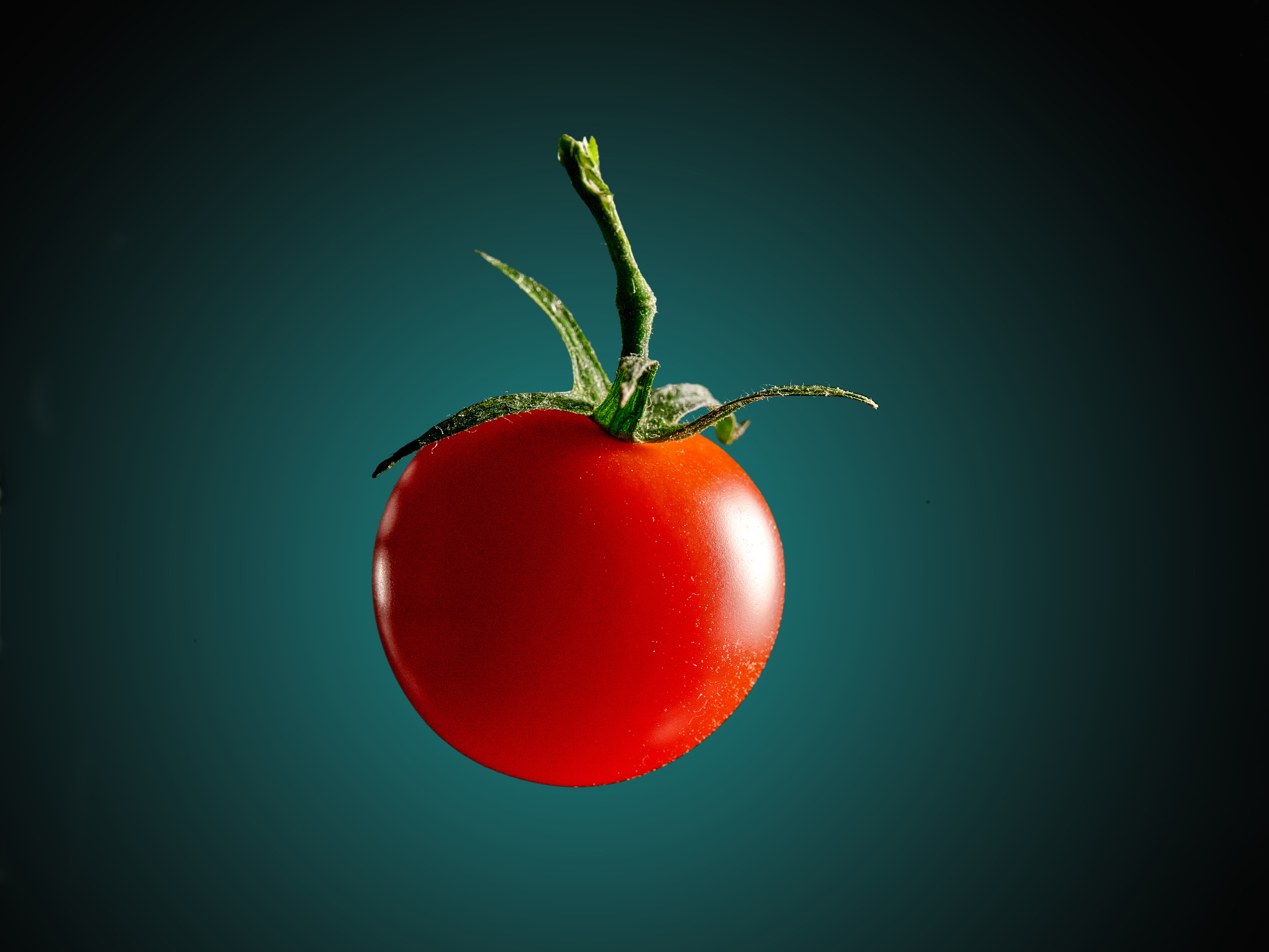 Предметная съемка. Пейзажный и семейный фотограф в Санкт-Петербурге Александр Белов