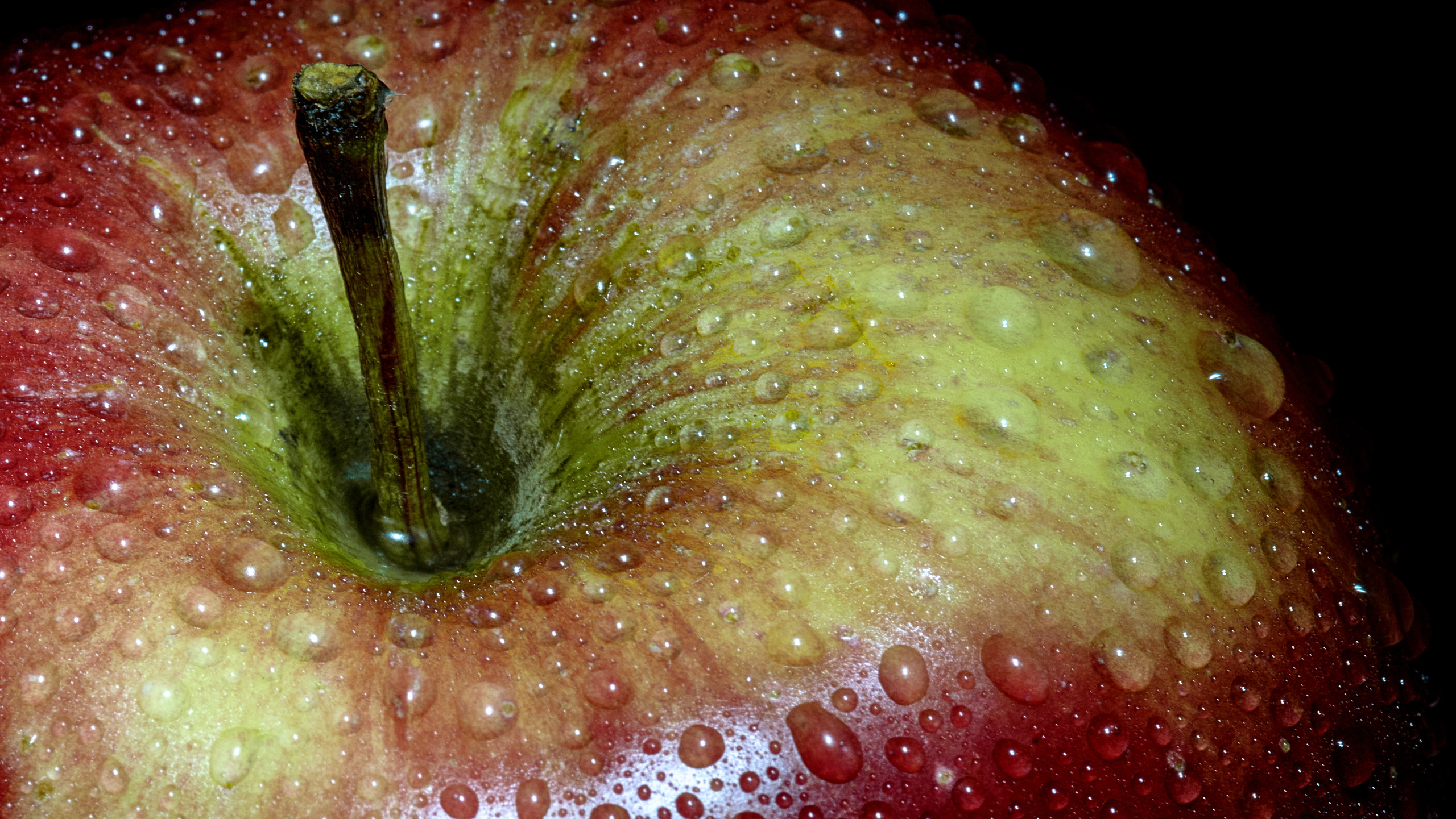 Предметная съемка. Пейзажный и семейный фотограф в Санкт-Петербурге Александр Белов