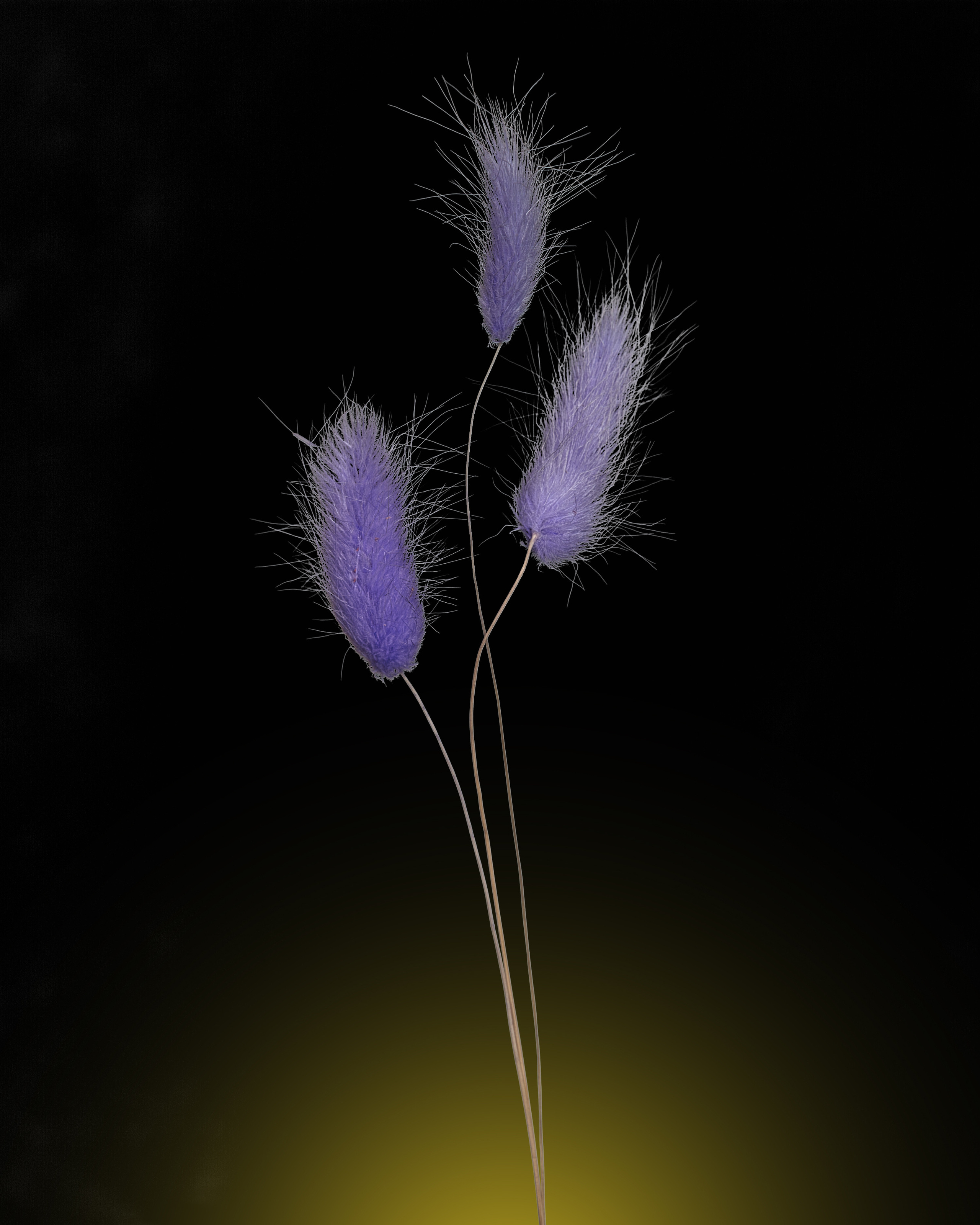 Предметная съемка. Пейзажный и семейный фотограф в Санкт-Петербурге Александр Белов